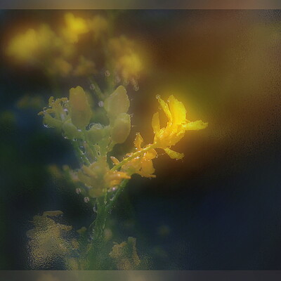 Light in the Night