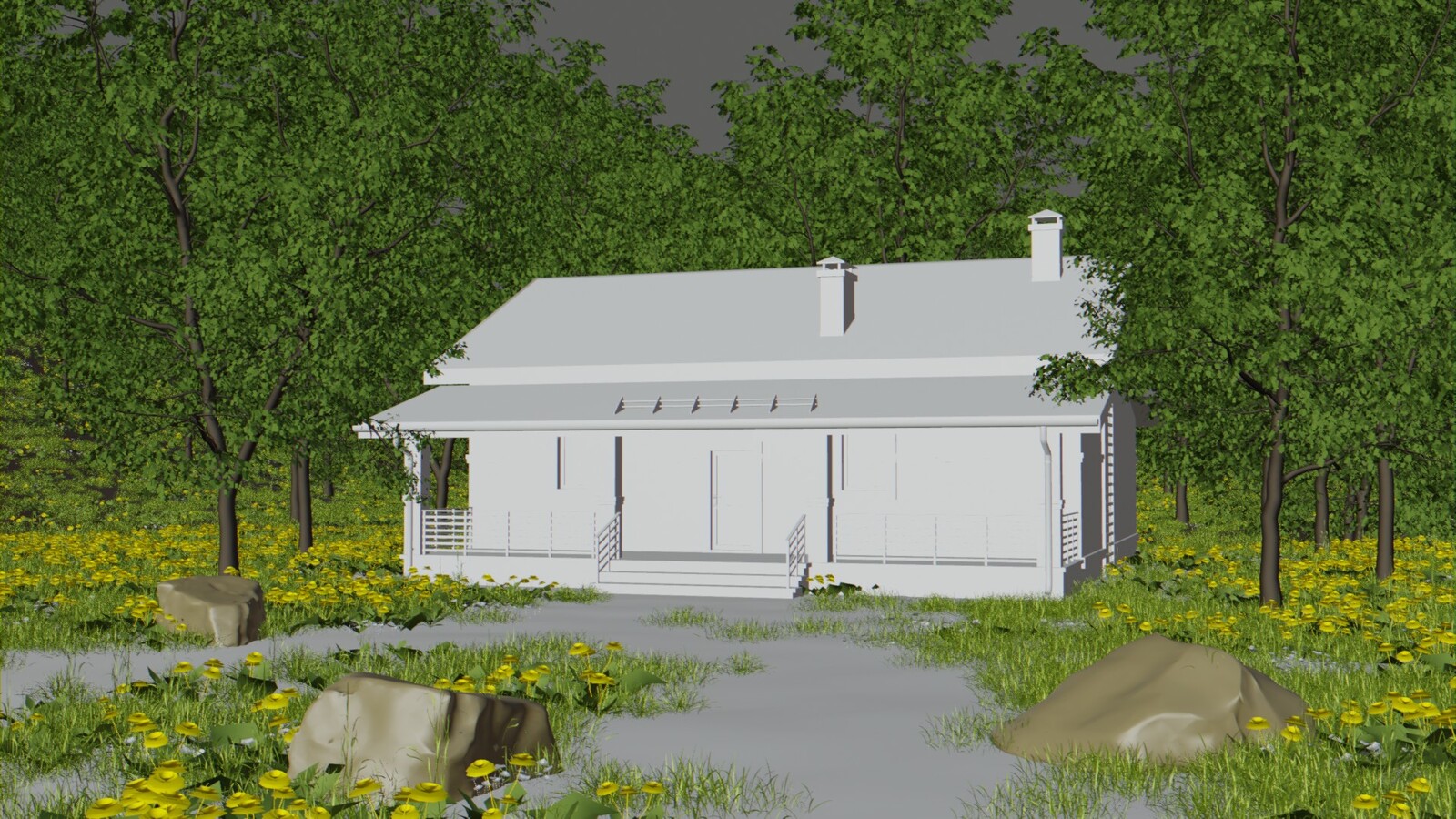 Viewport