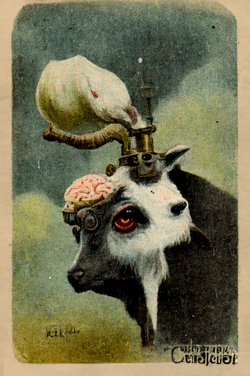 Disabled Animals On Vintage Postcards #33 | The First Goat