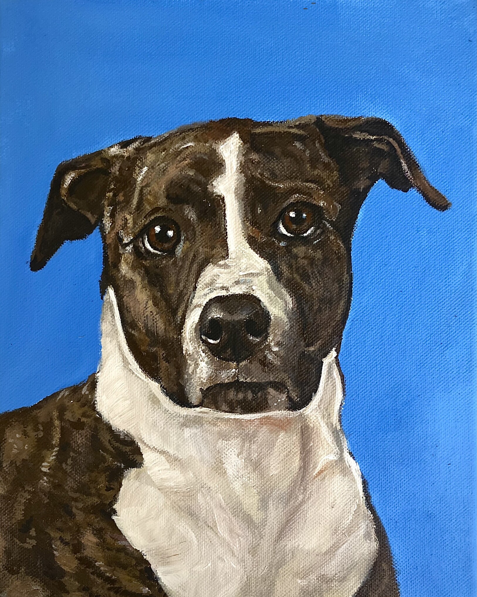 ArtStation - Acrylic dog portrait