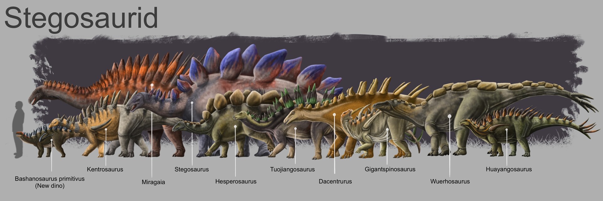 A named lineup of Stegasaurid dinosaurs; art by Jati Kuncoro : r ...