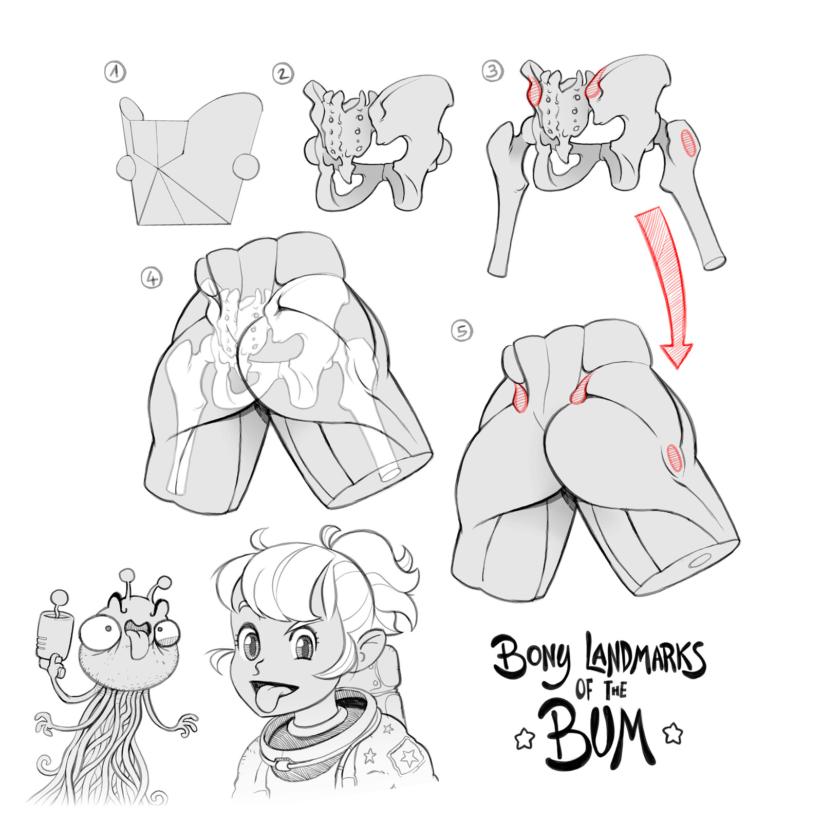 How to draw a bum and its bony landmarks