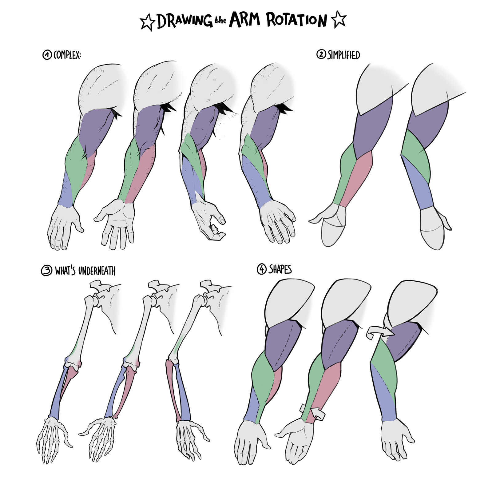 Upper and lower arm rotation