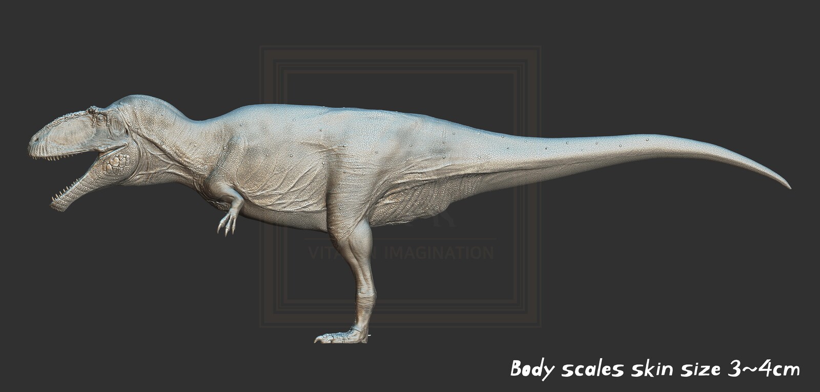 body scales size 3~4cm