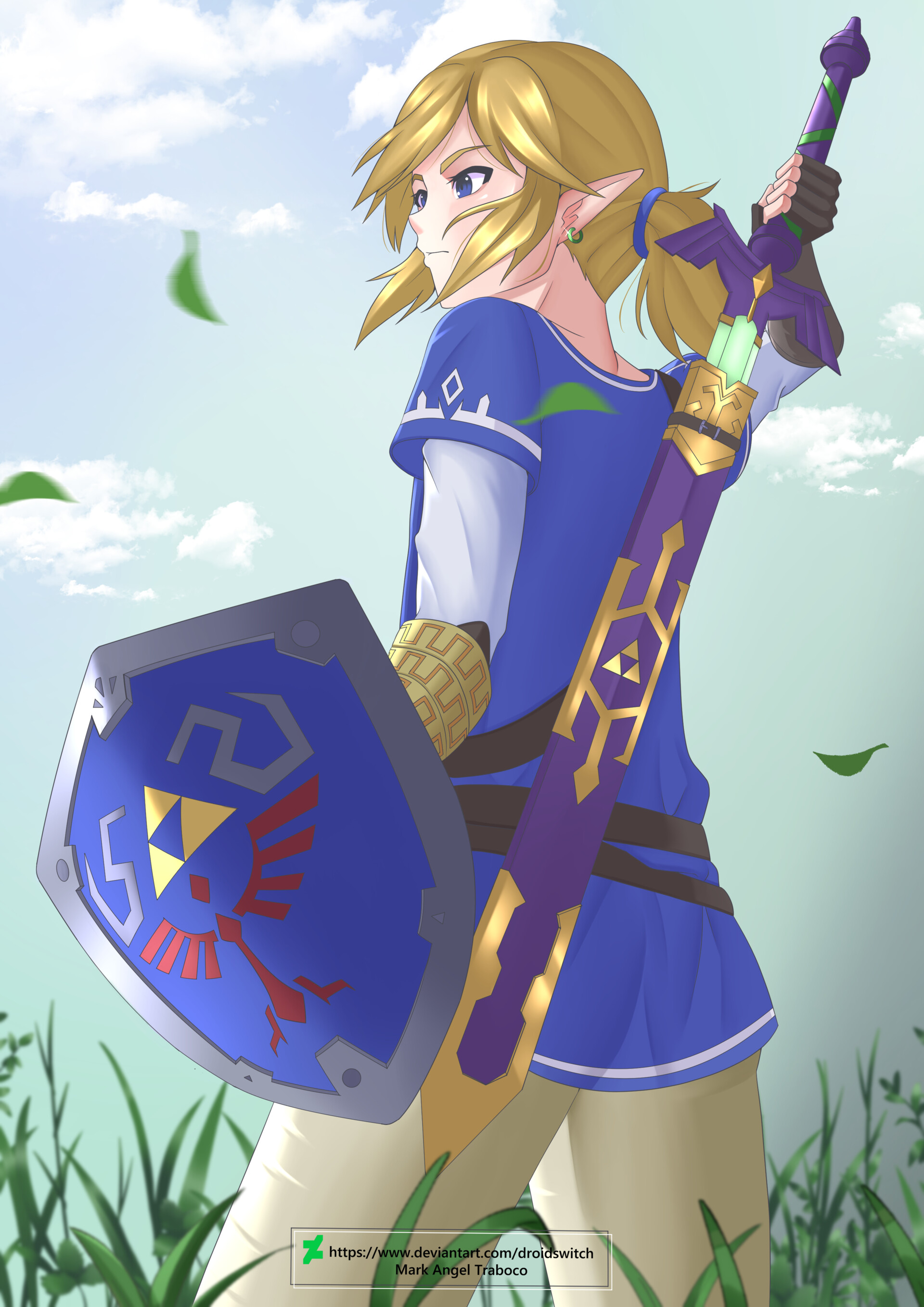 Hyrule Warriors Devinart Zelda Anime Anime Link And Zelda Botw