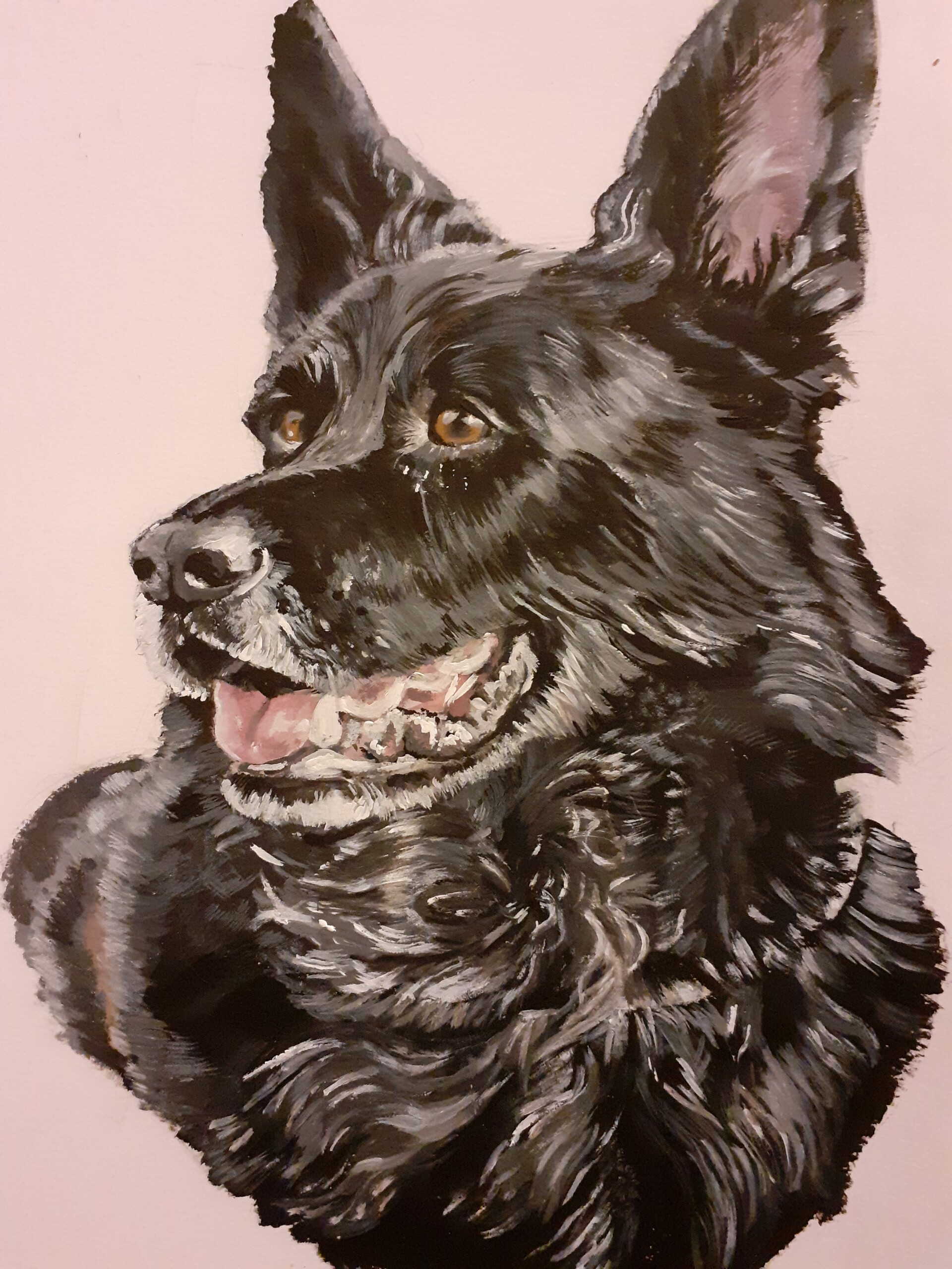 ArtStation - Acrylic dog portraits