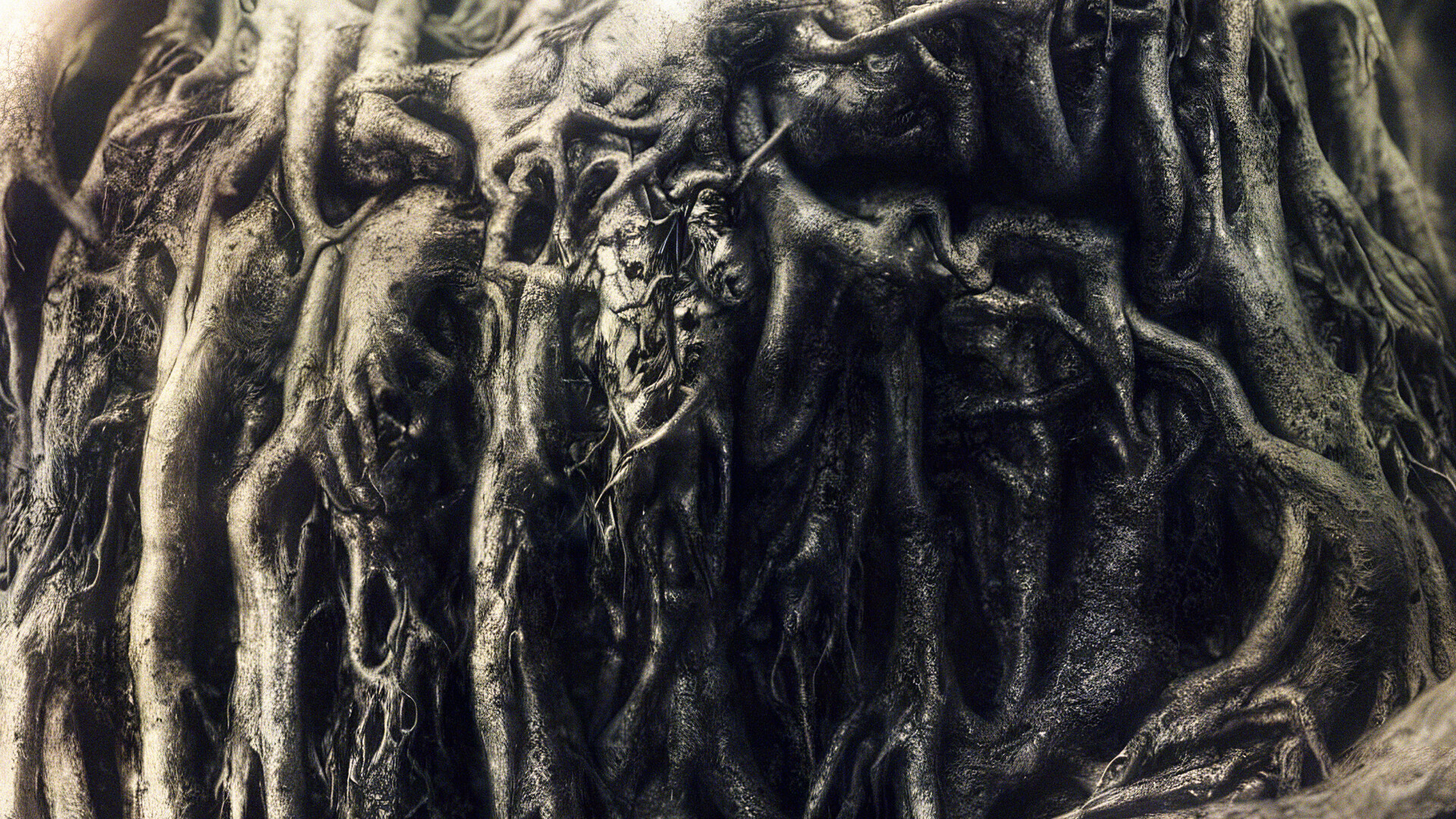 ArtStation - Roots are scary 7