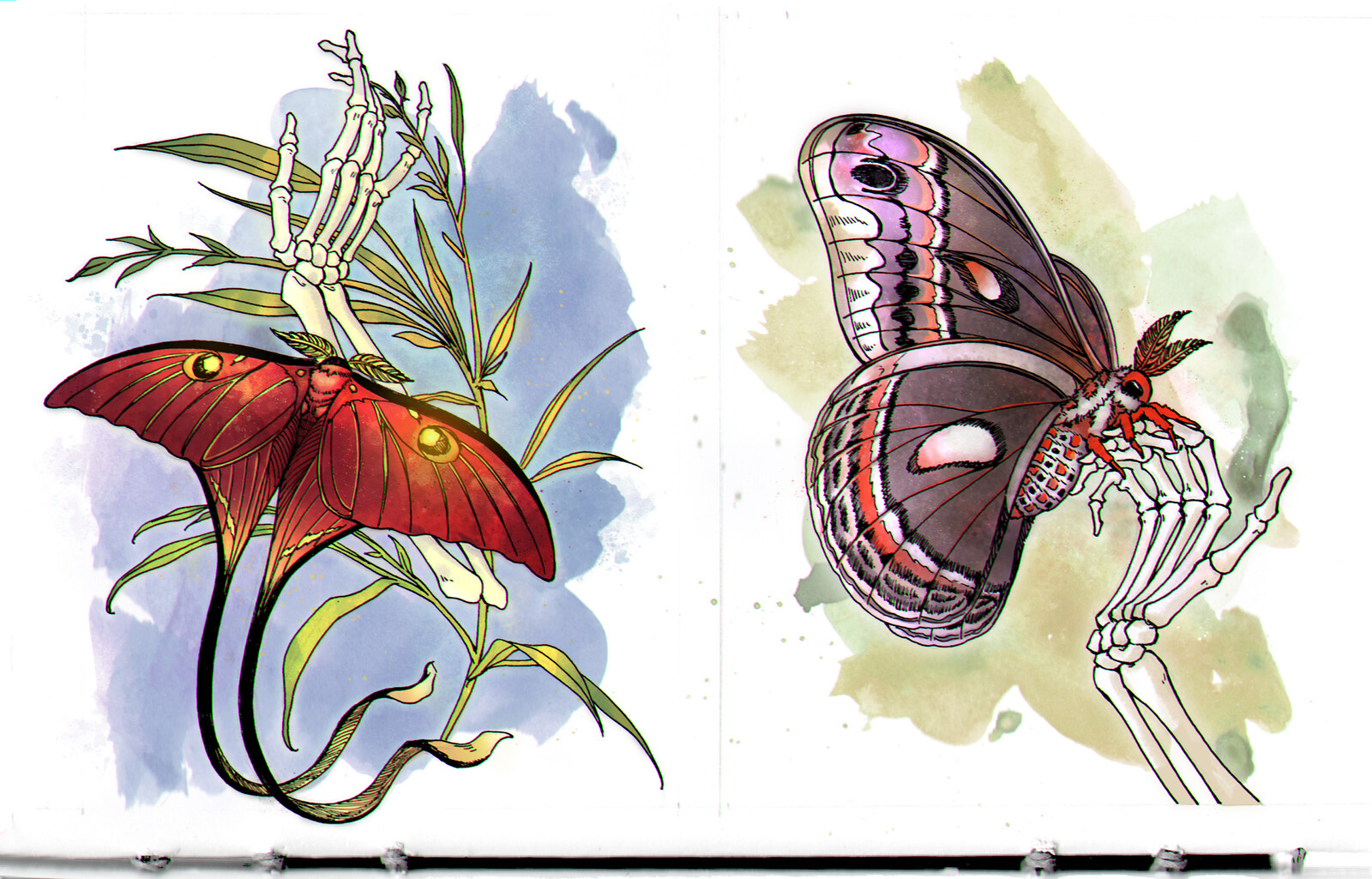 Scanned inks with digital Colors