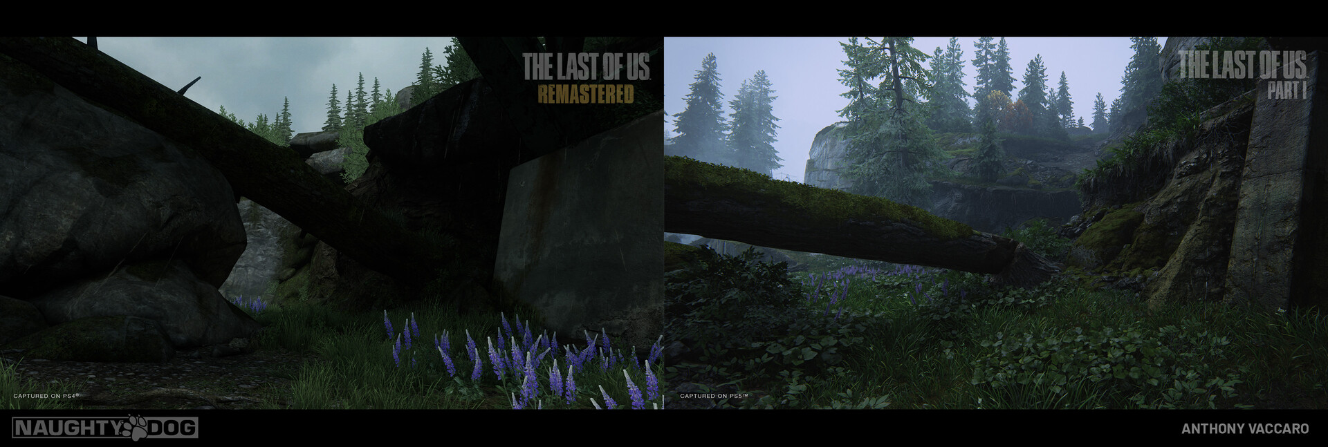 The Last of Us Part I, Wide Comparison (4K)