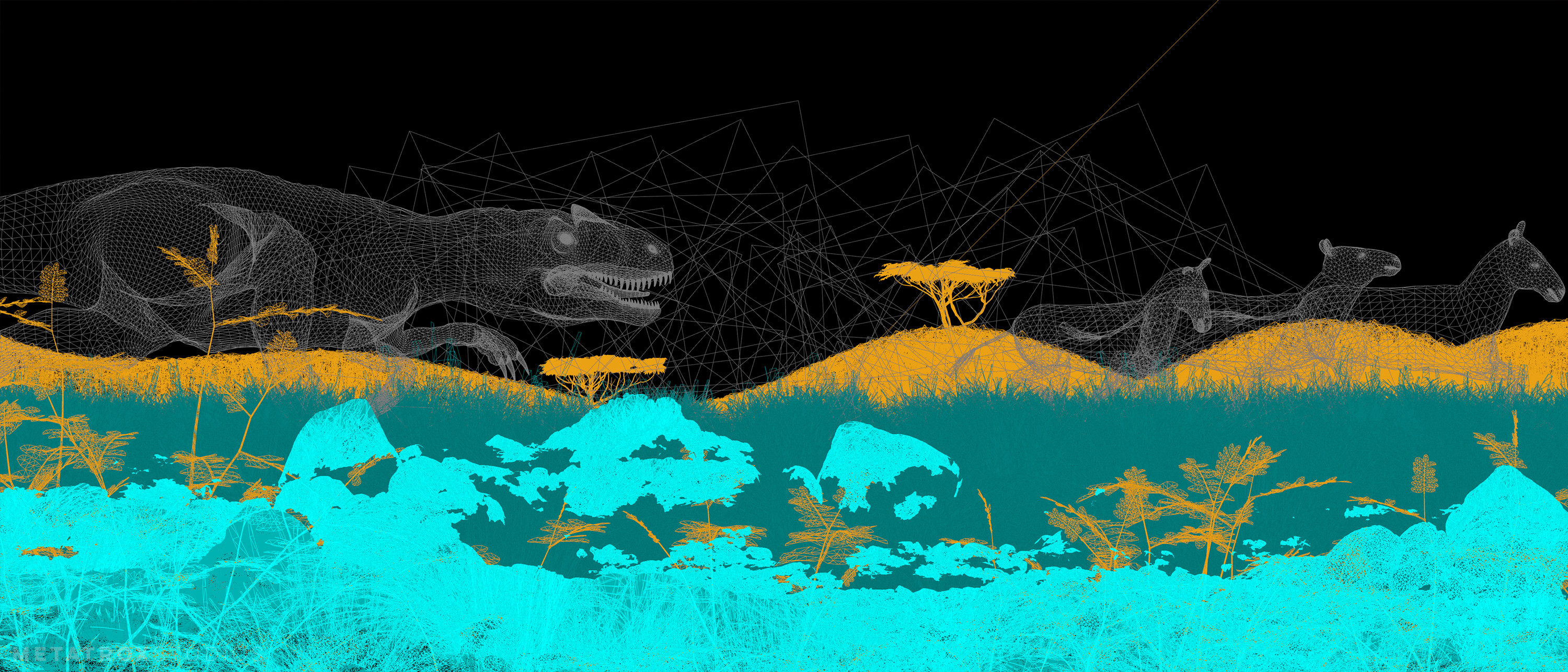 Wireframe