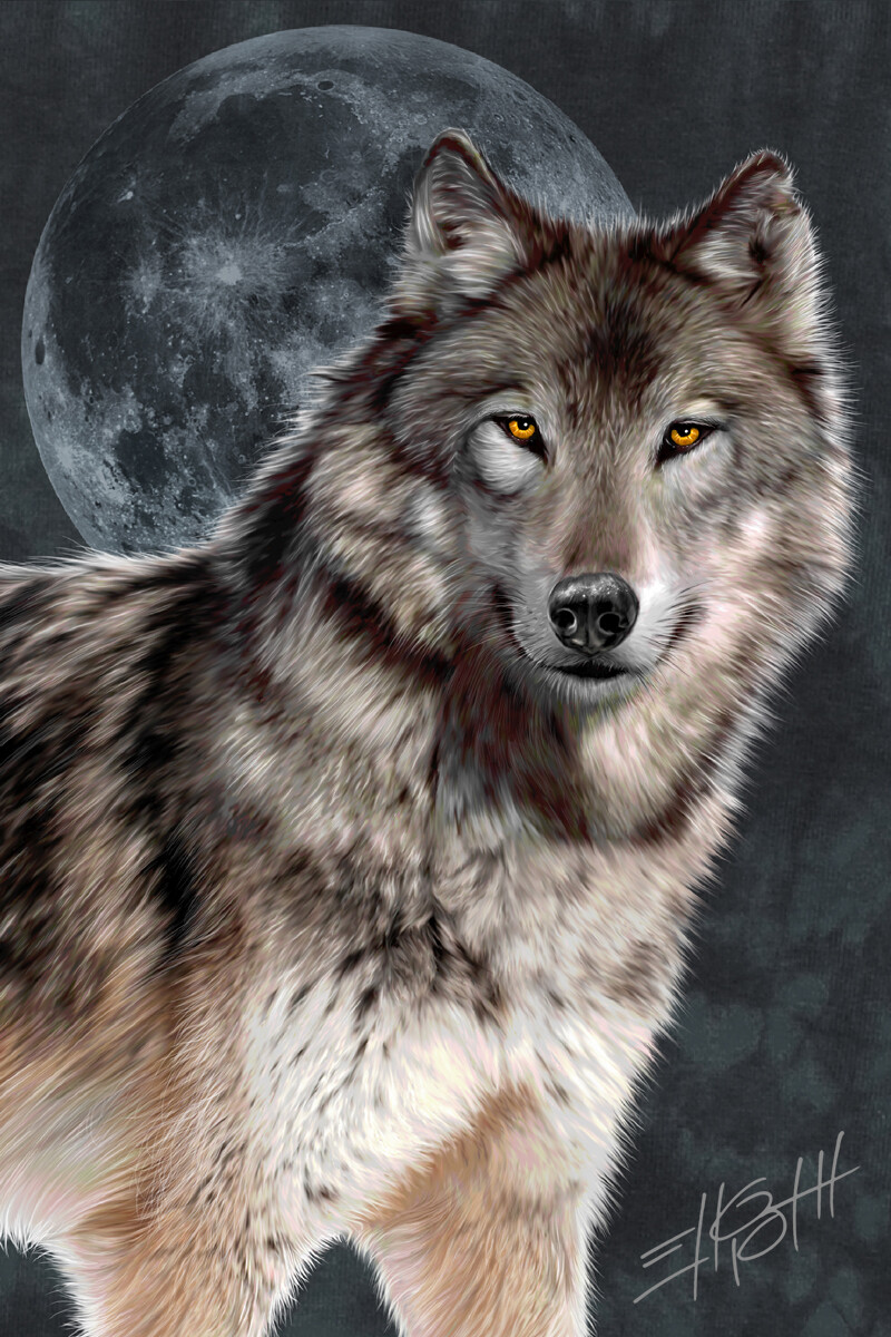 ArtStation - Beautiful Wolf