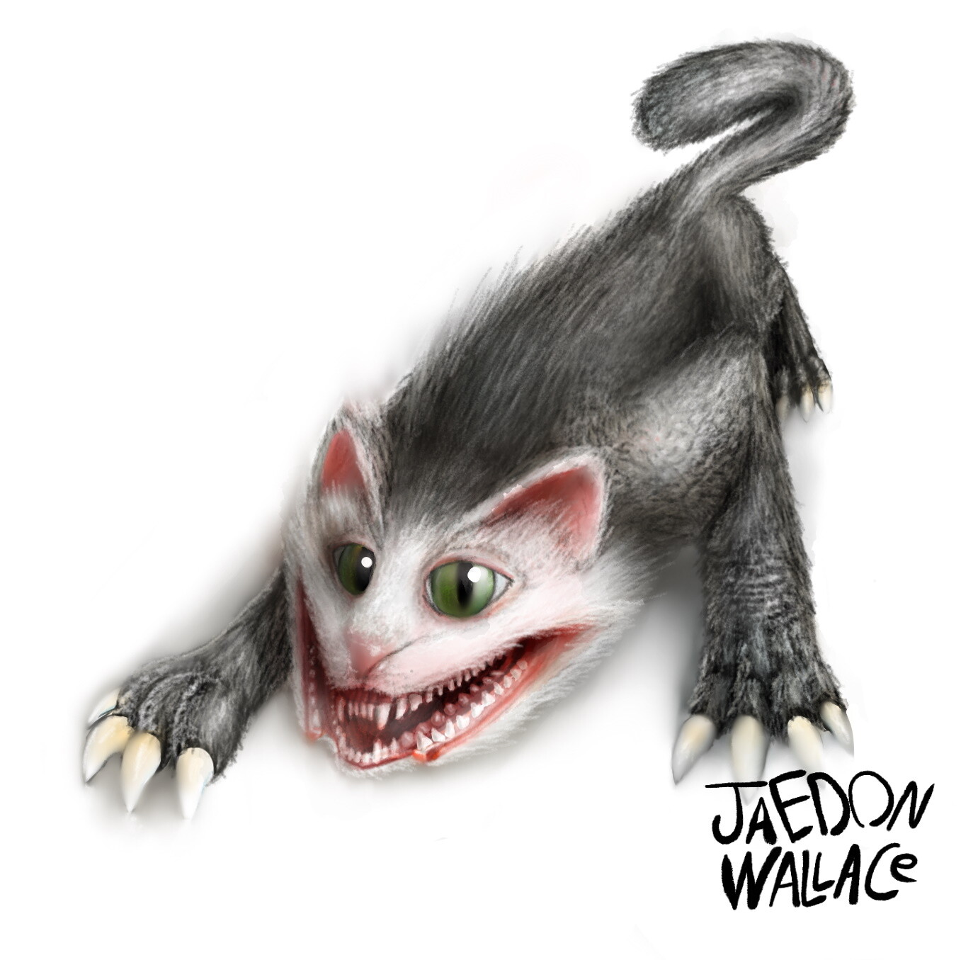 Jaedon Wallace Opossum Cat (Monster Cat)