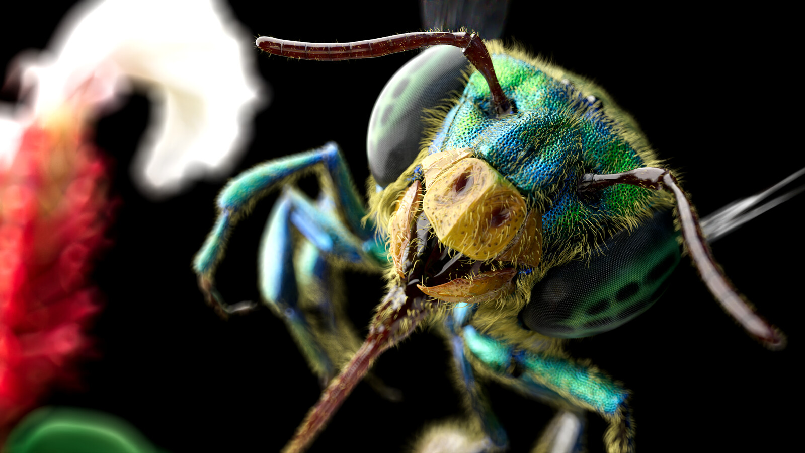 orchid bee model rendered in Redshift for Maya