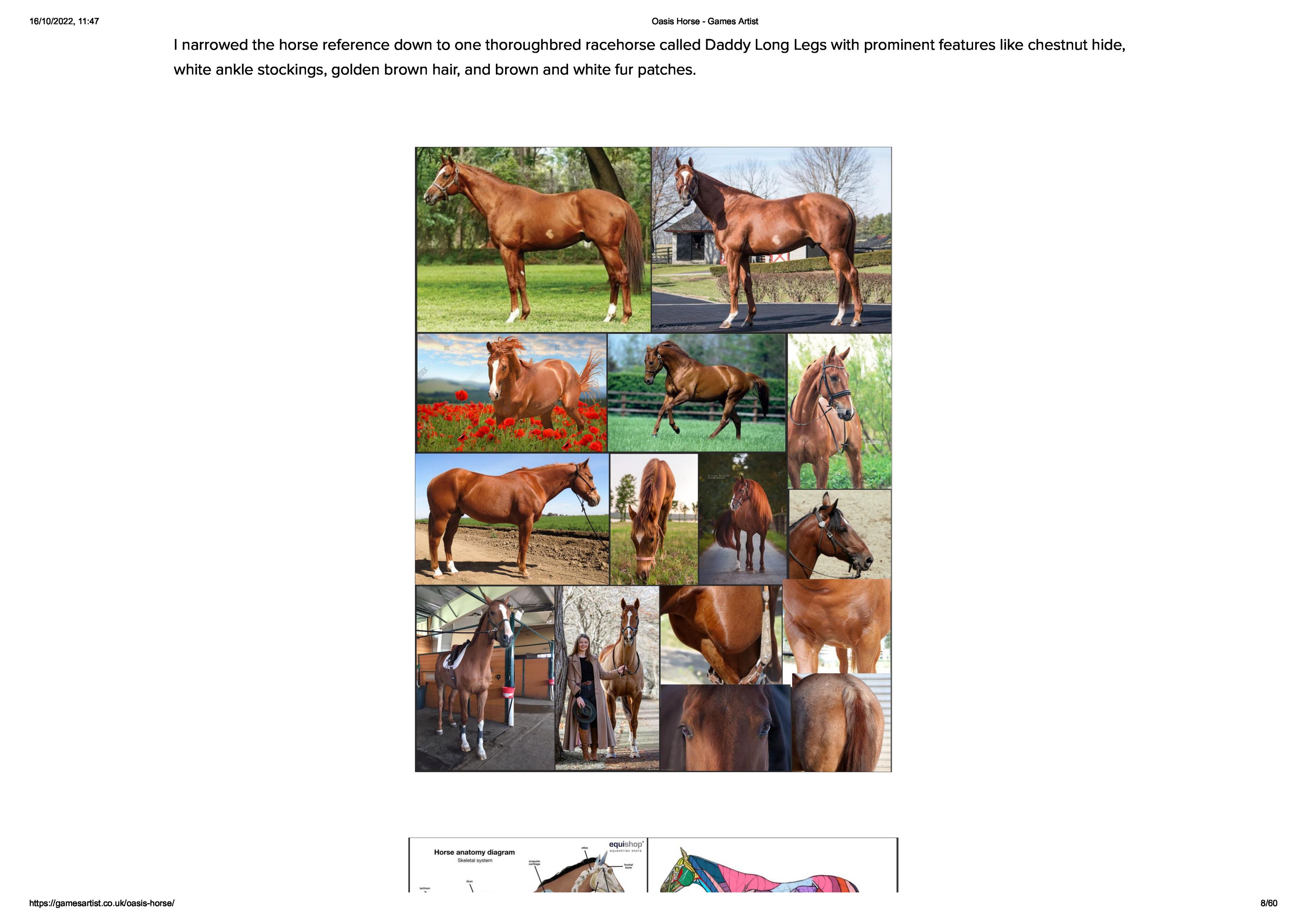 Horse anatomy - diagrams of horse body parts - EQUISHOP Equestrian Shop