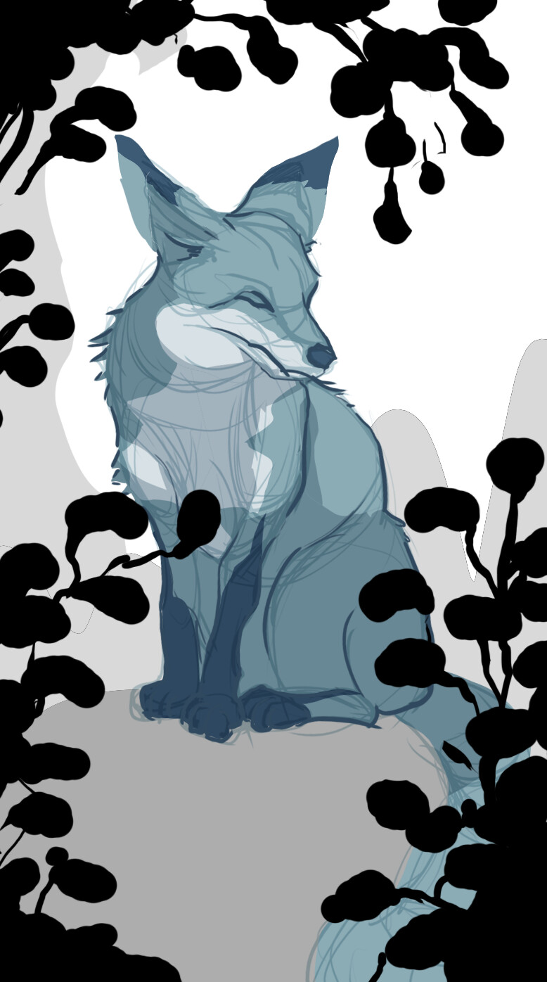 Fox sketch