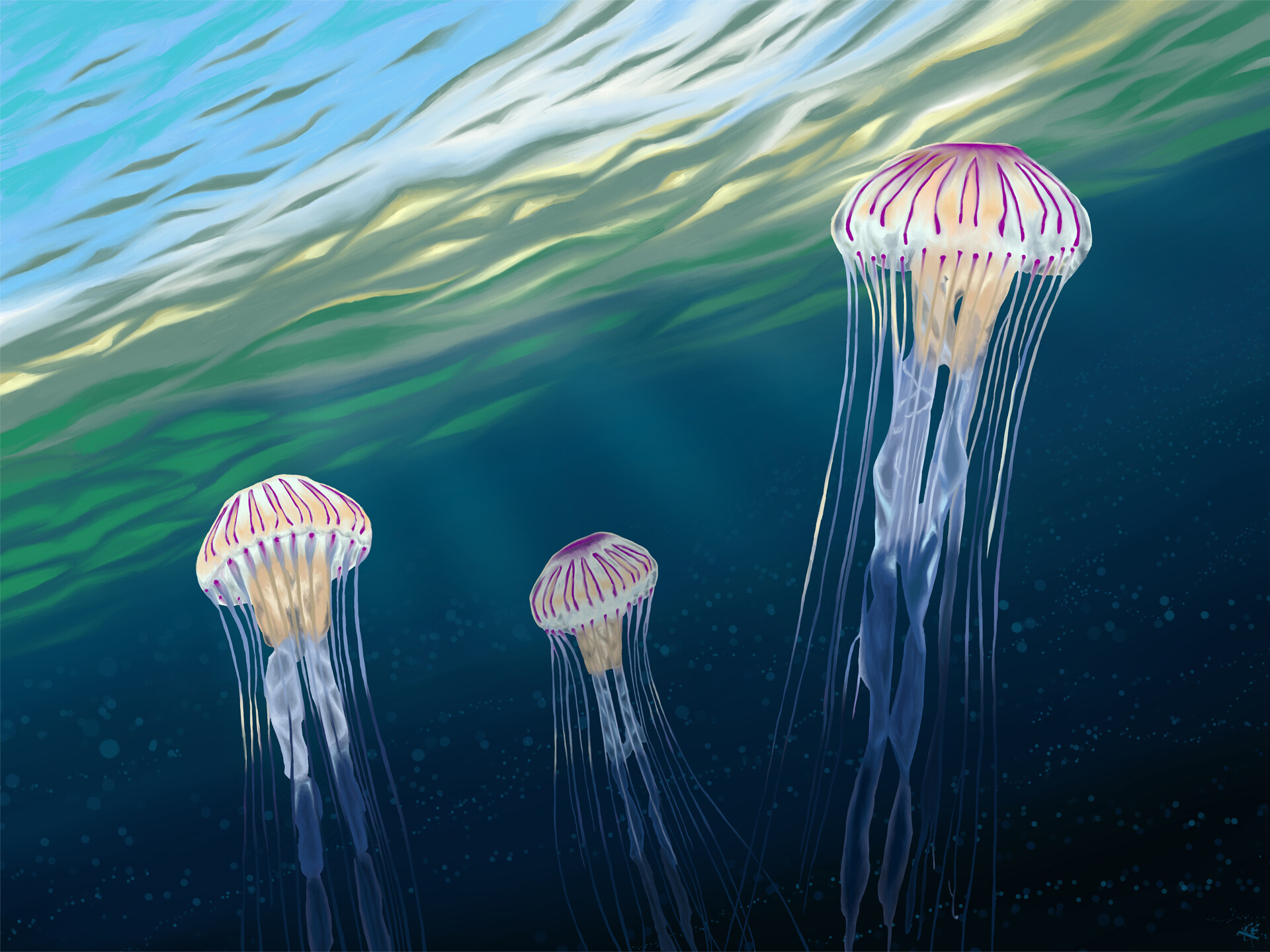 ArtStation Jellyfish Drifting in the Sea