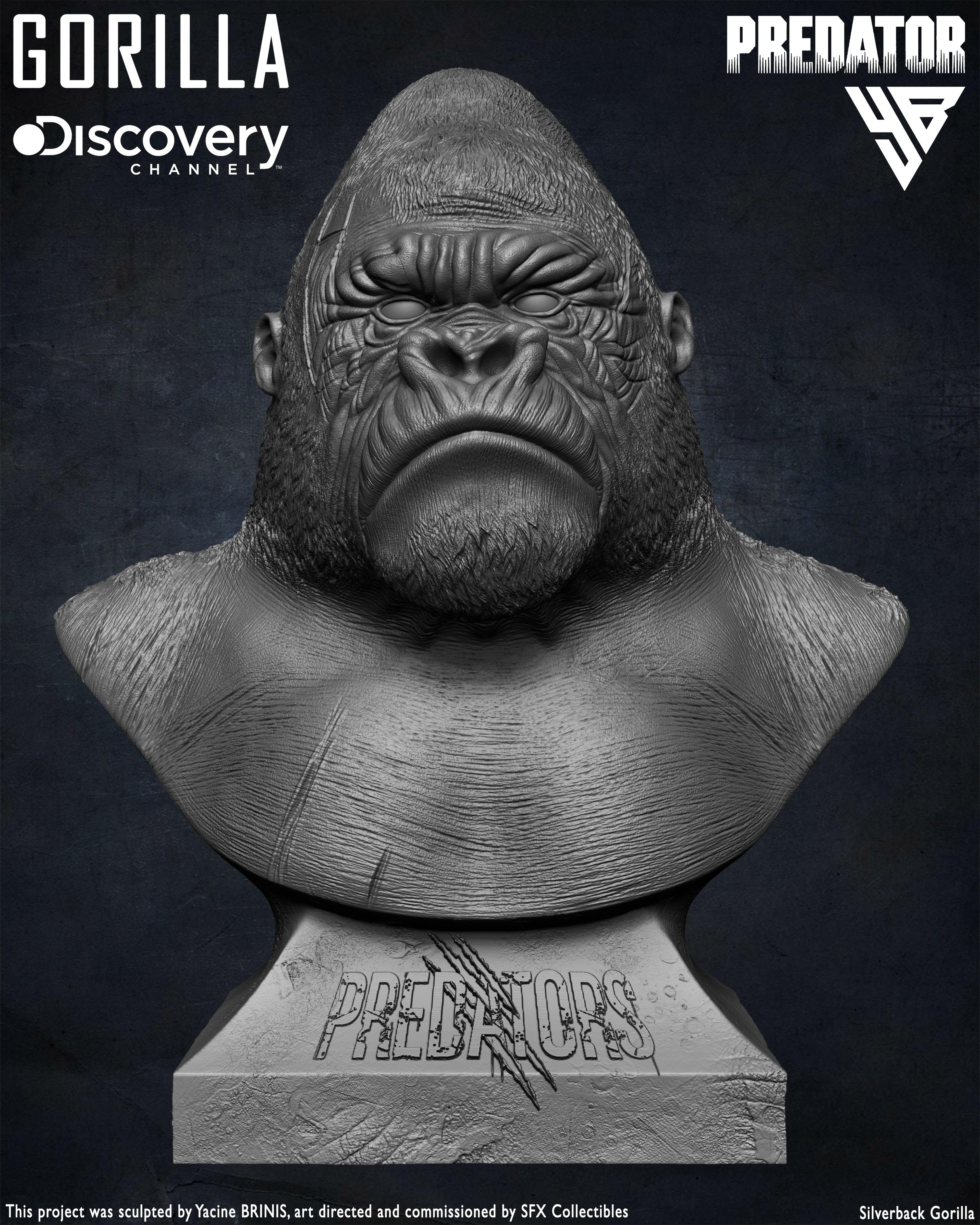Silverback Gorilla Predator sculpted by Yacine BRINIS 001