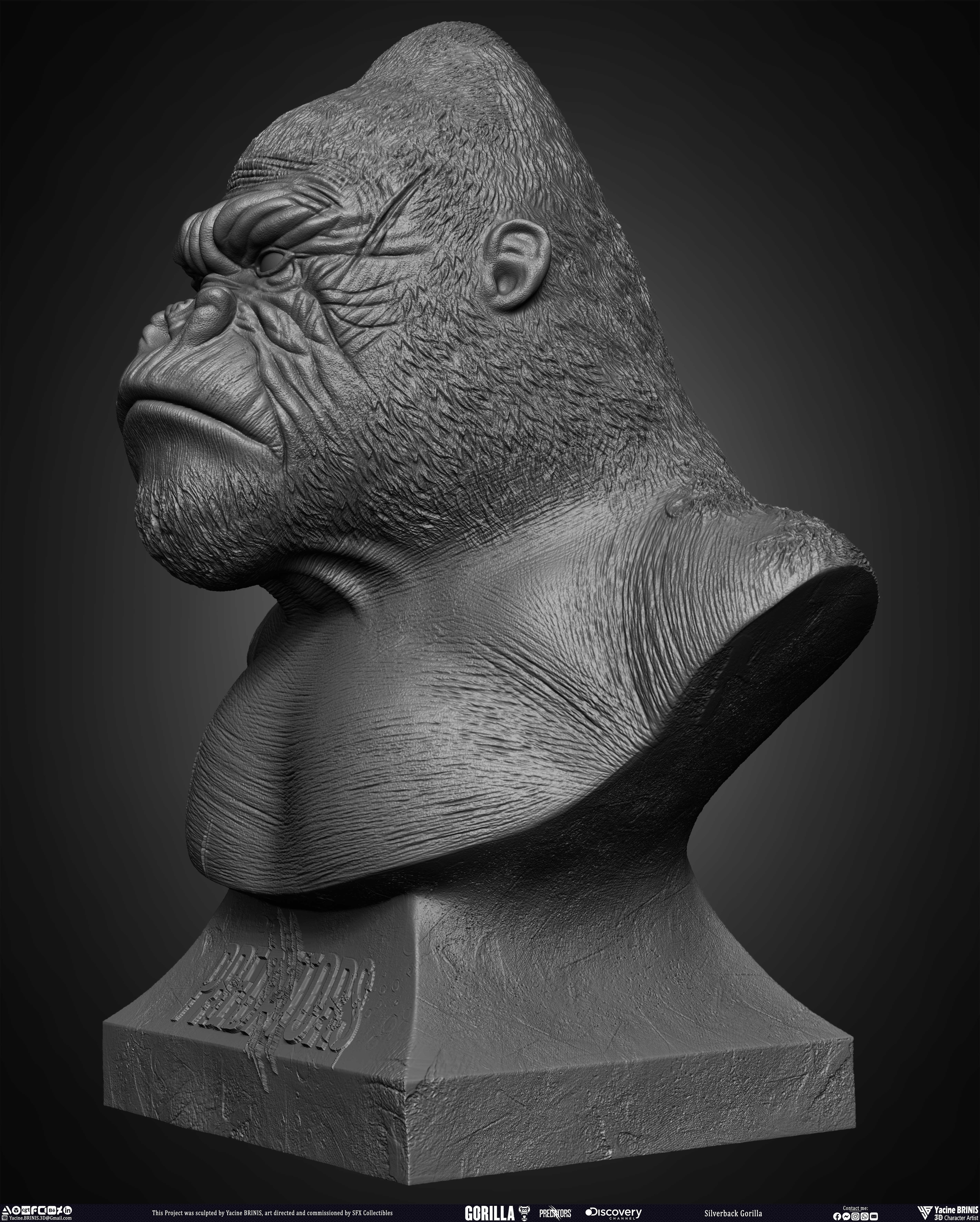 Silverback Gorilla Predator sculpted by Yacine BRINIS 008