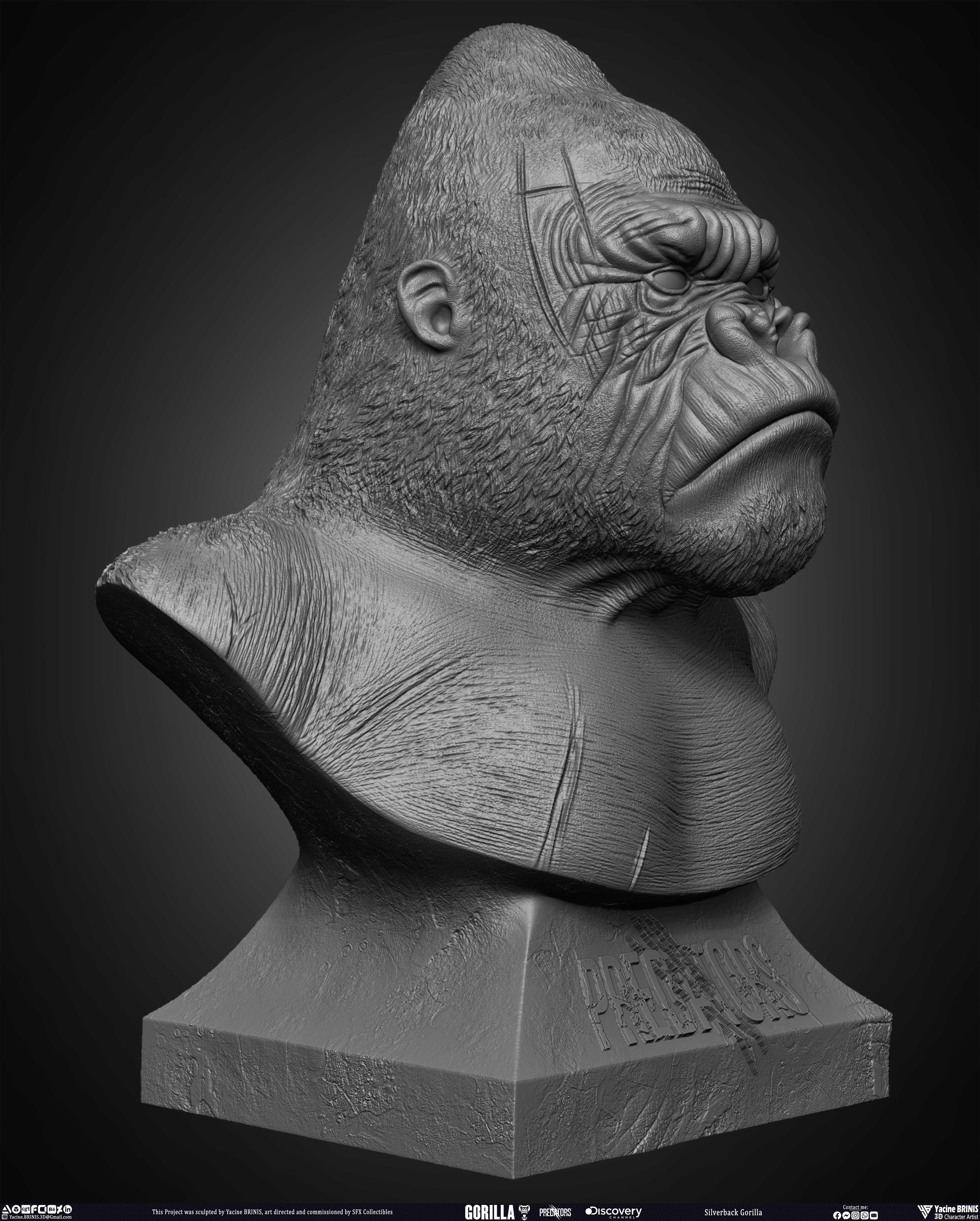 Silverback Gorilla Predator sculpted by Yacine BRINIS 010