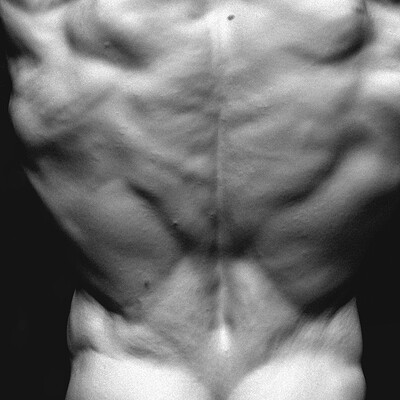 Back Anatomy Study - Timelapse [Zbrush]
