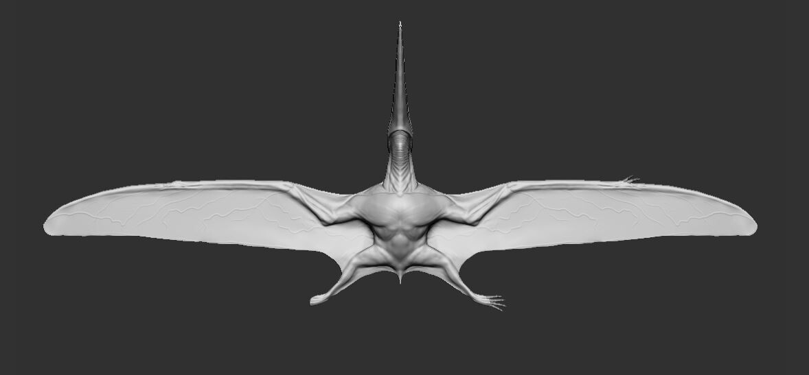 Under_belly