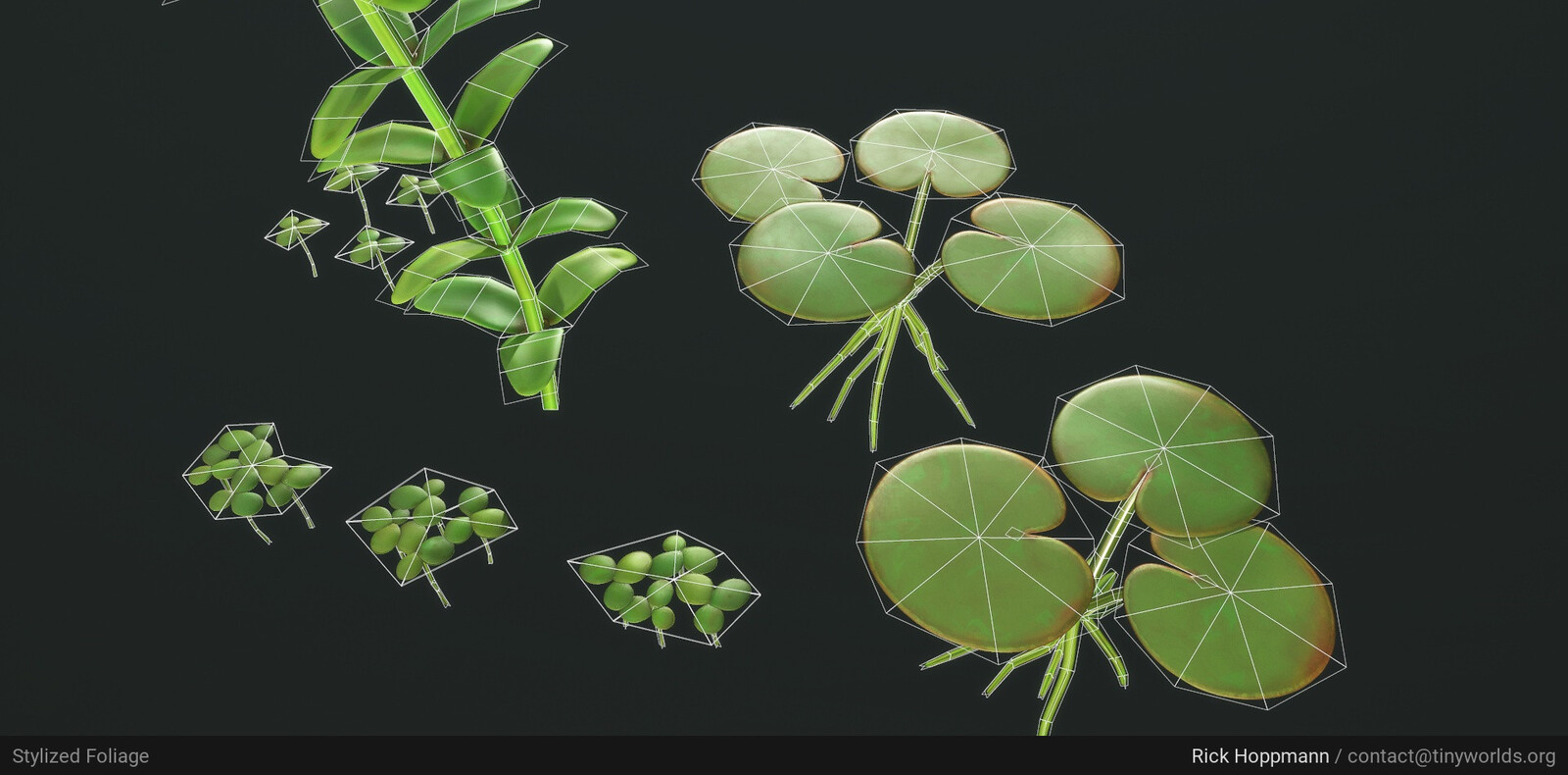 Large leaf swimming plant is Frogbit, NOT water lilies :) Hence the roots like this!