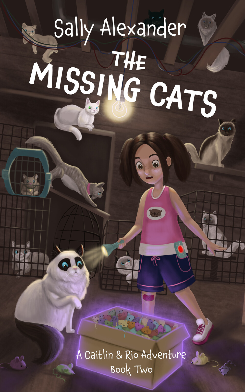 Book 2 - The Missing Cats- Front Cover
