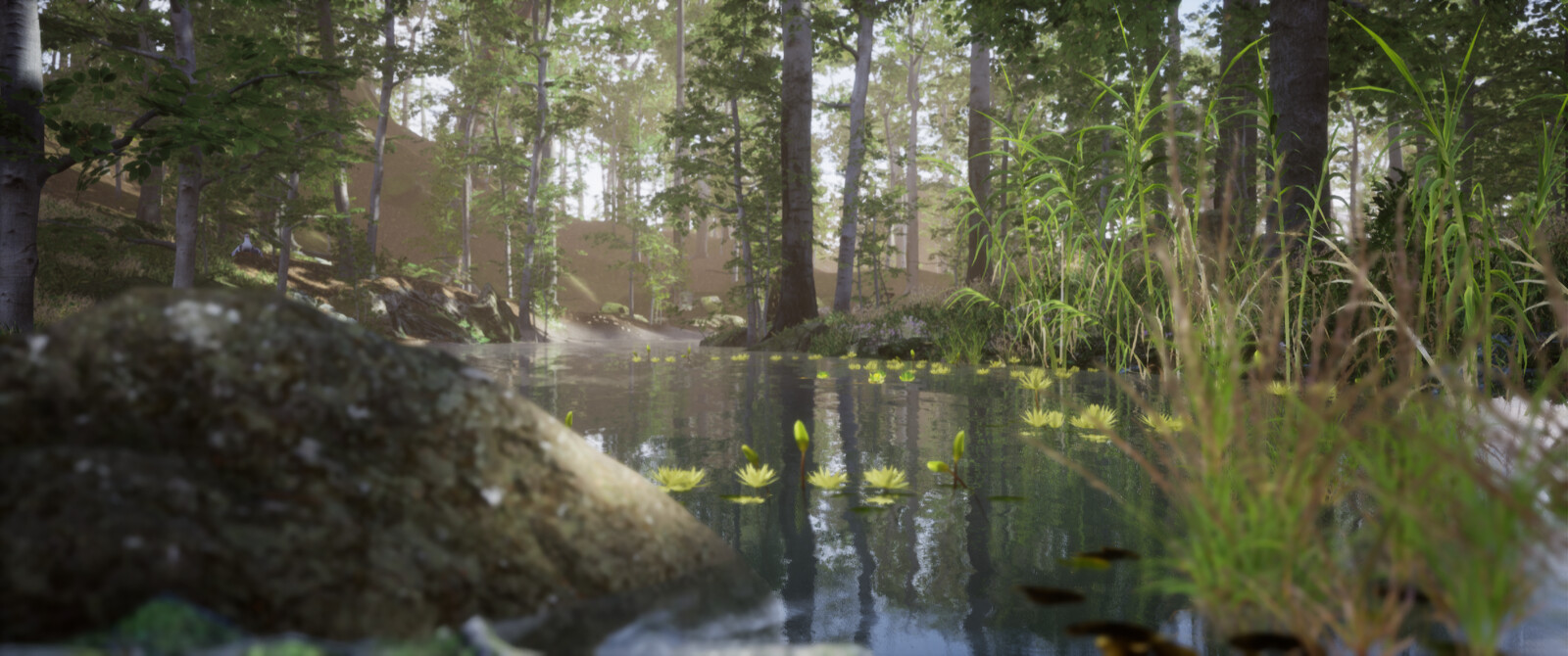 Forest
