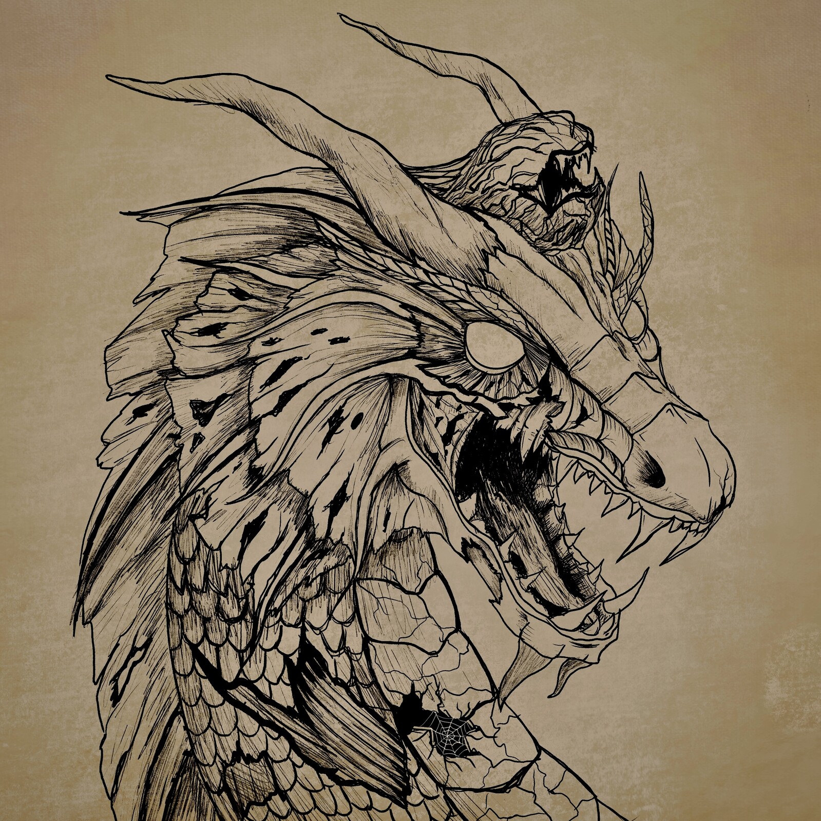 Sketch