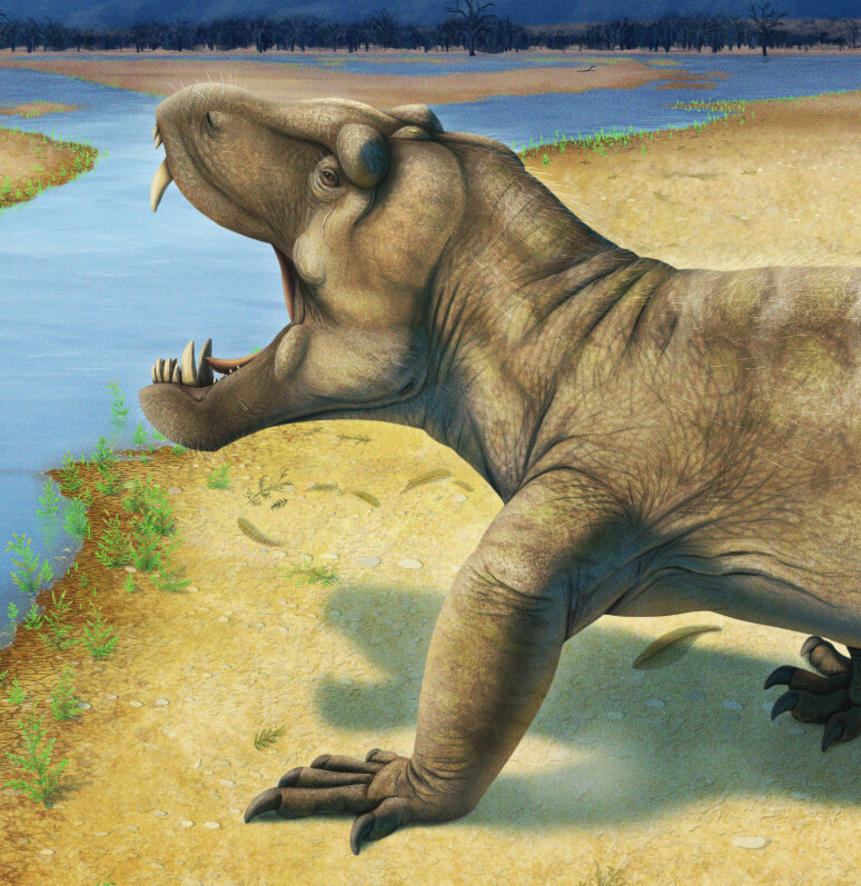 Anteosaurus 