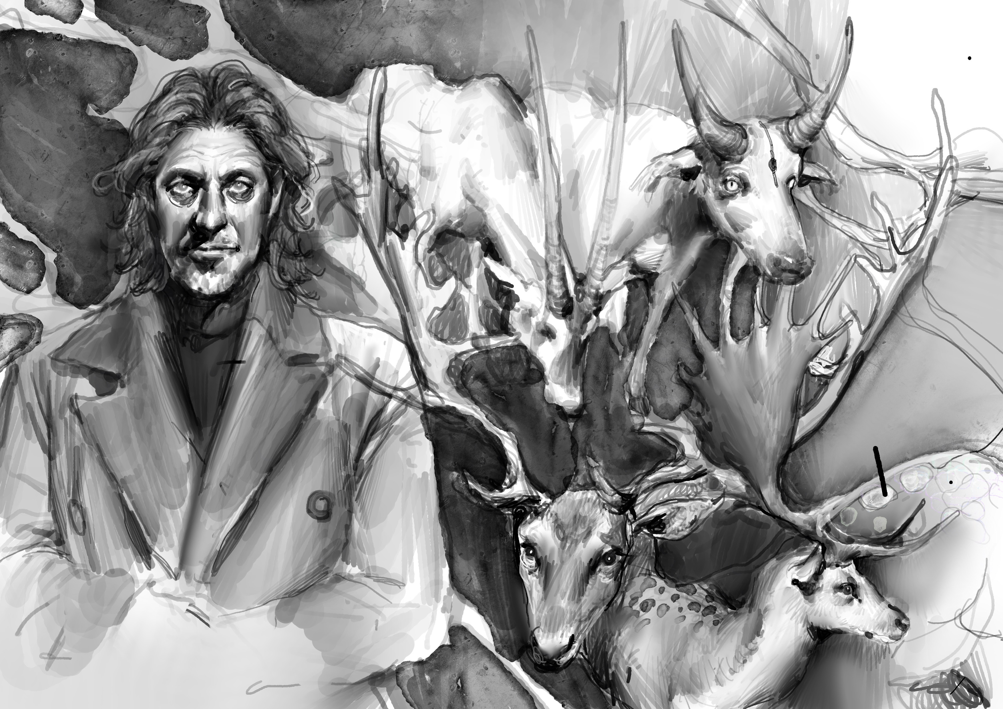 Entei Ryu - スケッチス