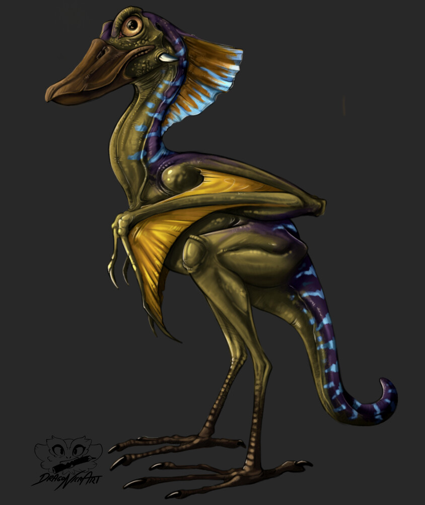 Shoebill monster bird, beware, it is big an won't hesitate to attack. 