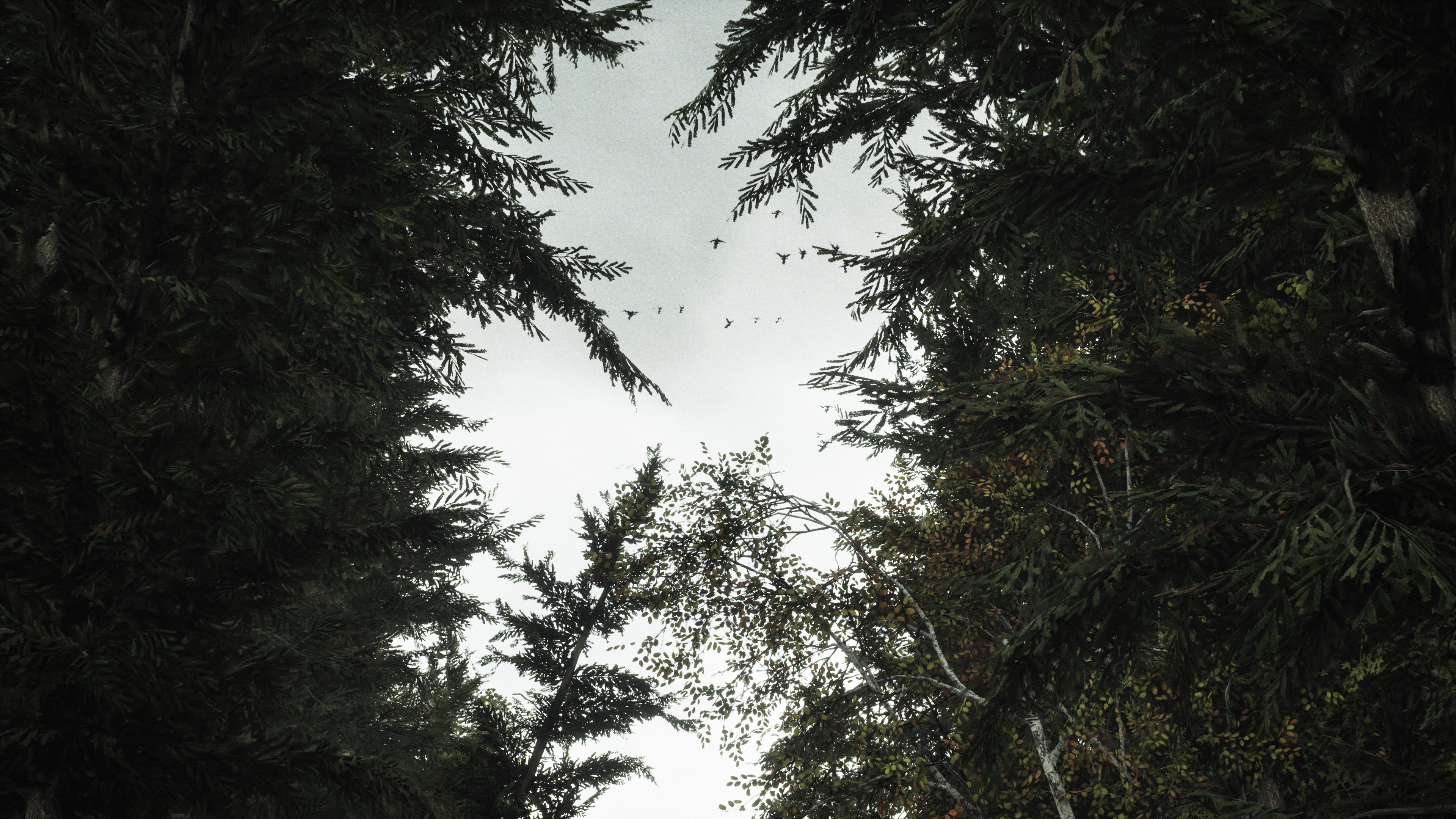 Pasquale Scionti - GPU Lightmass Test Unreal Engine 5 RTX 3090