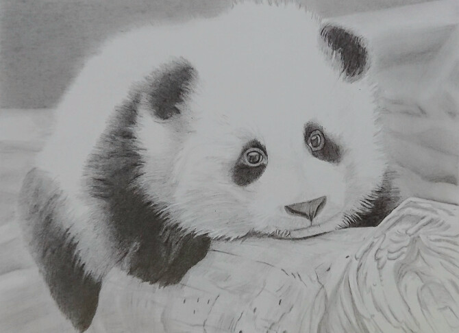 ArtStation - Cute Panda Pencil draw ️ 🐼 🎋