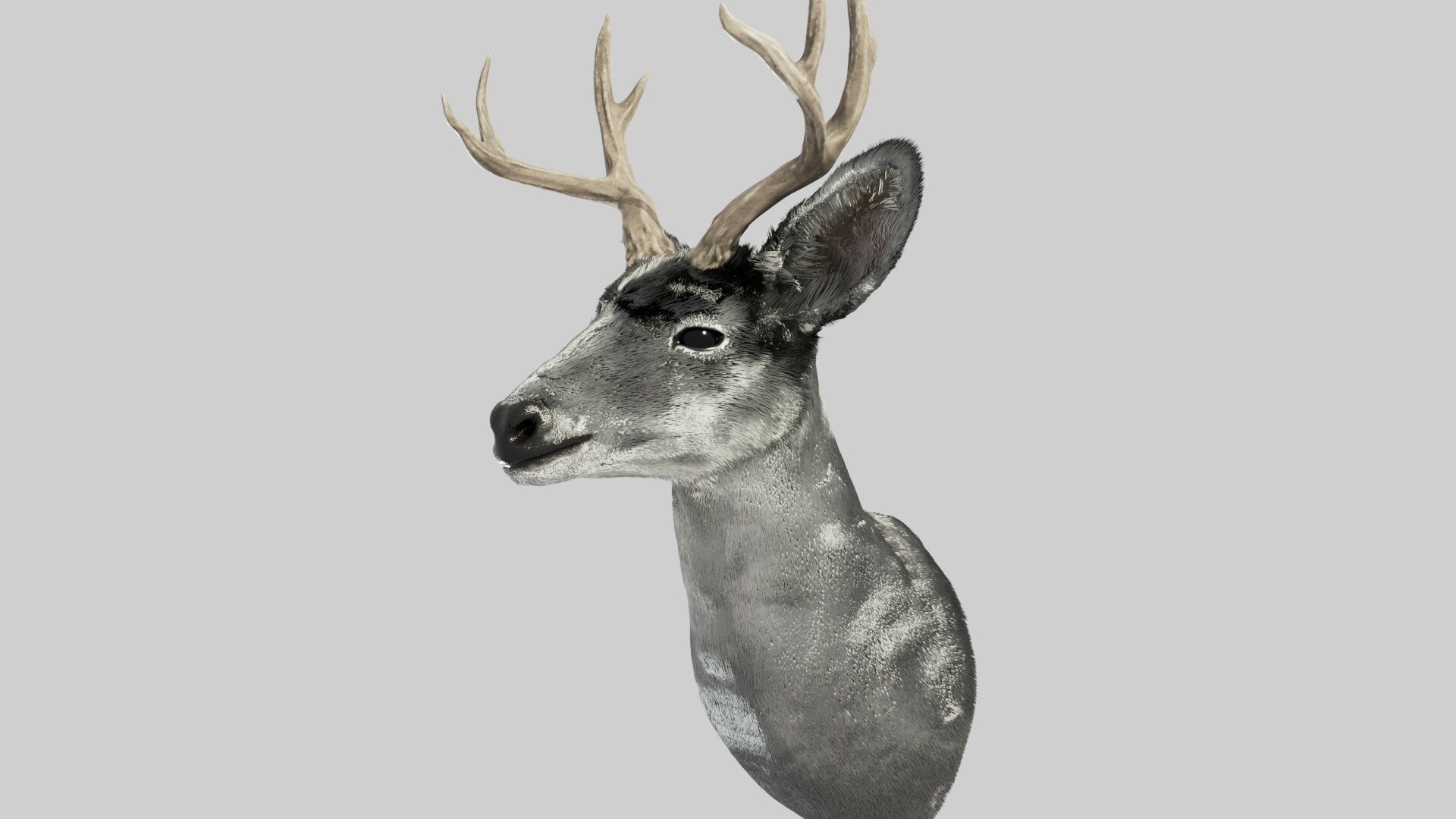 Buck Fever Synthetics-Lure? | Archery Talk Forum