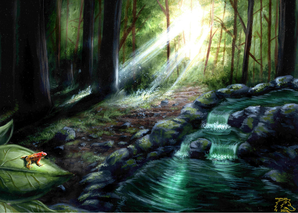 The Hidden Stream