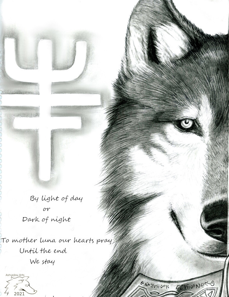 Lupine Prayer in Graphite