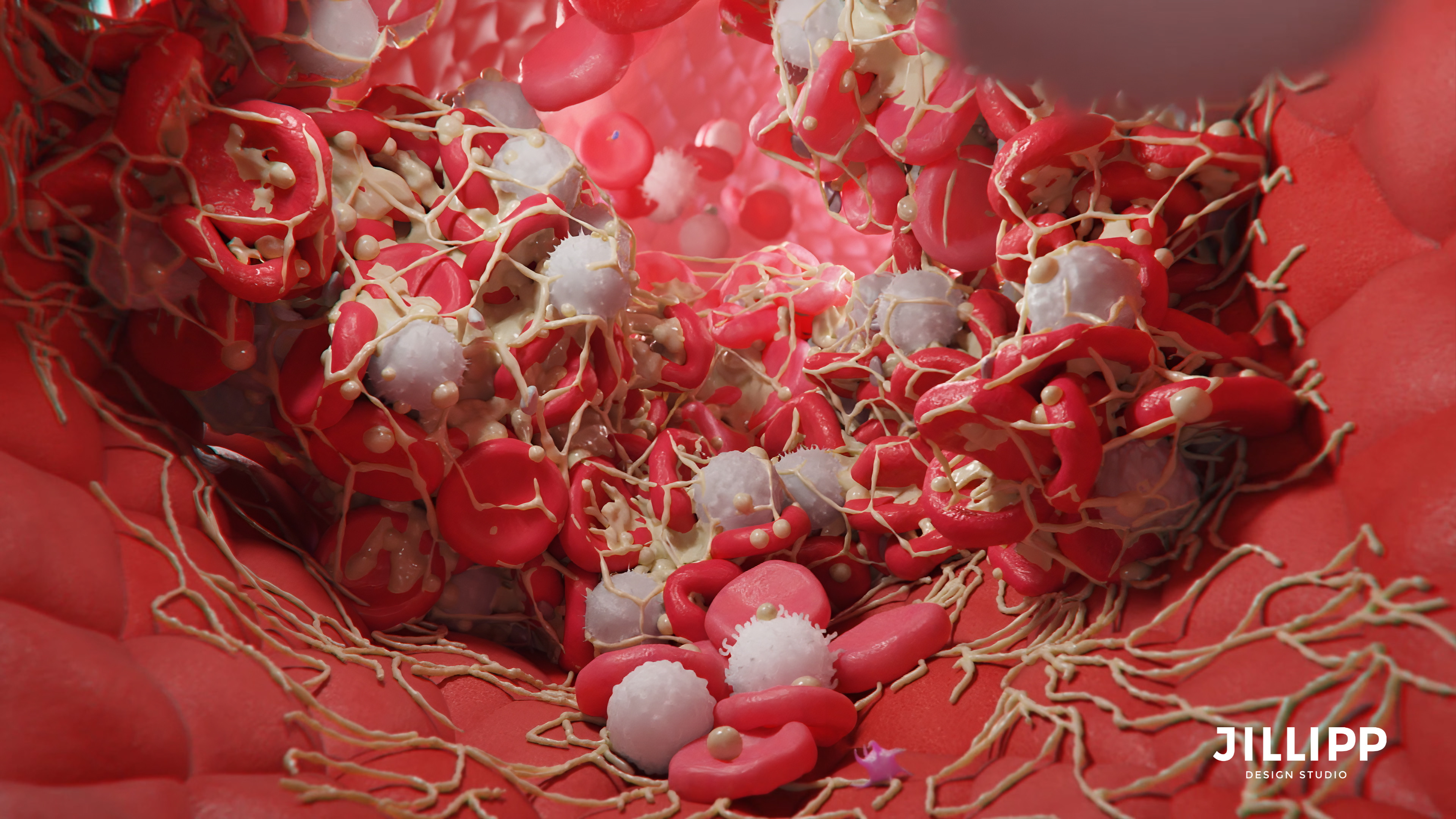 clot formation inside a blood vessel