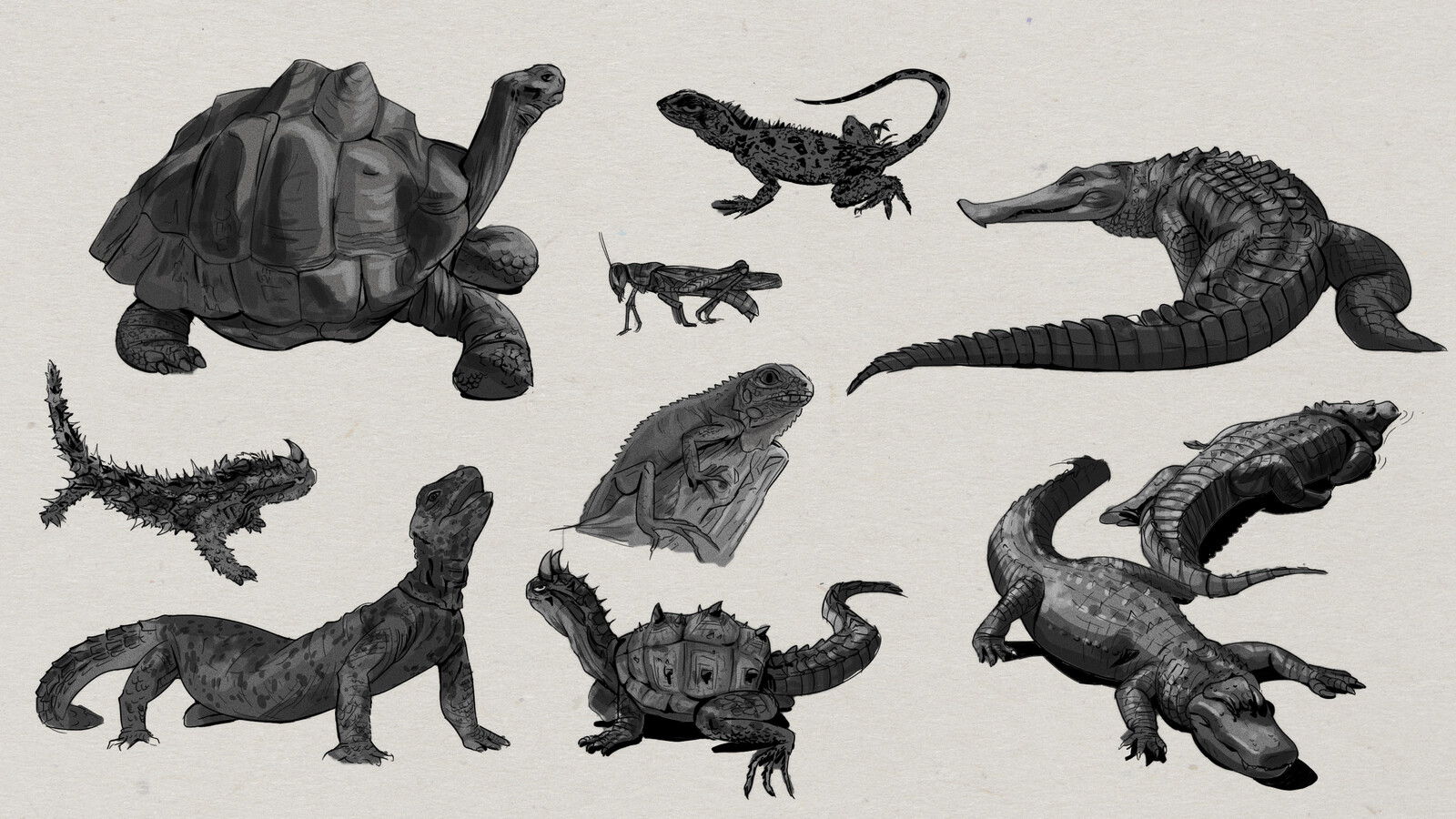 Animal study