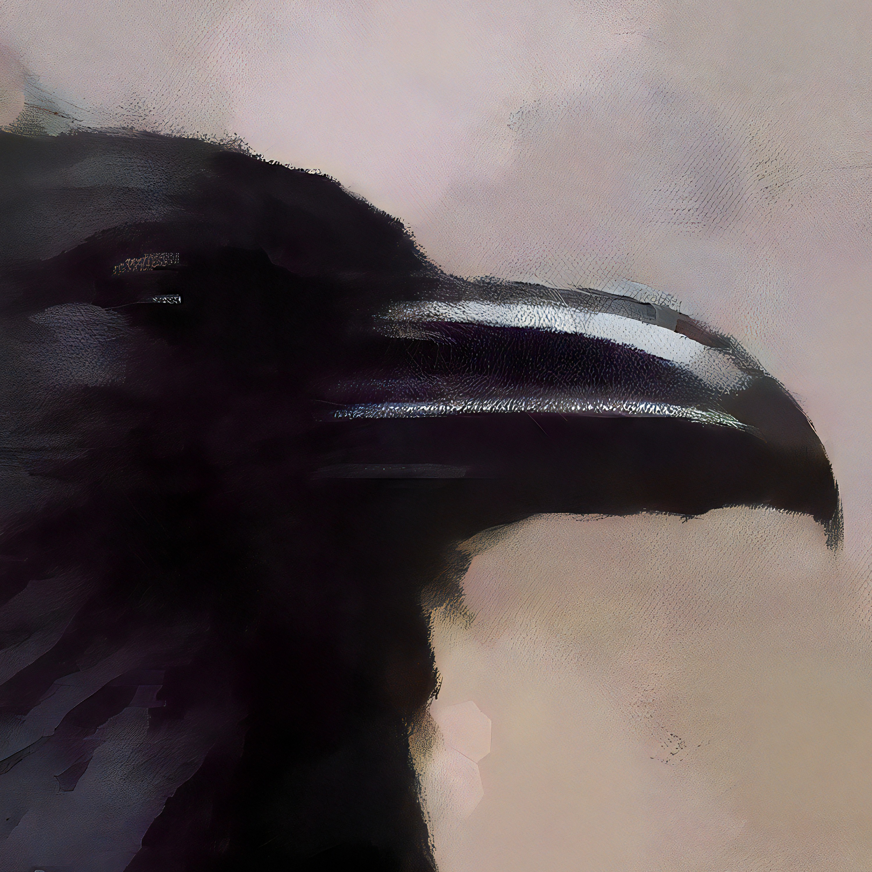 Raven in higher detail.