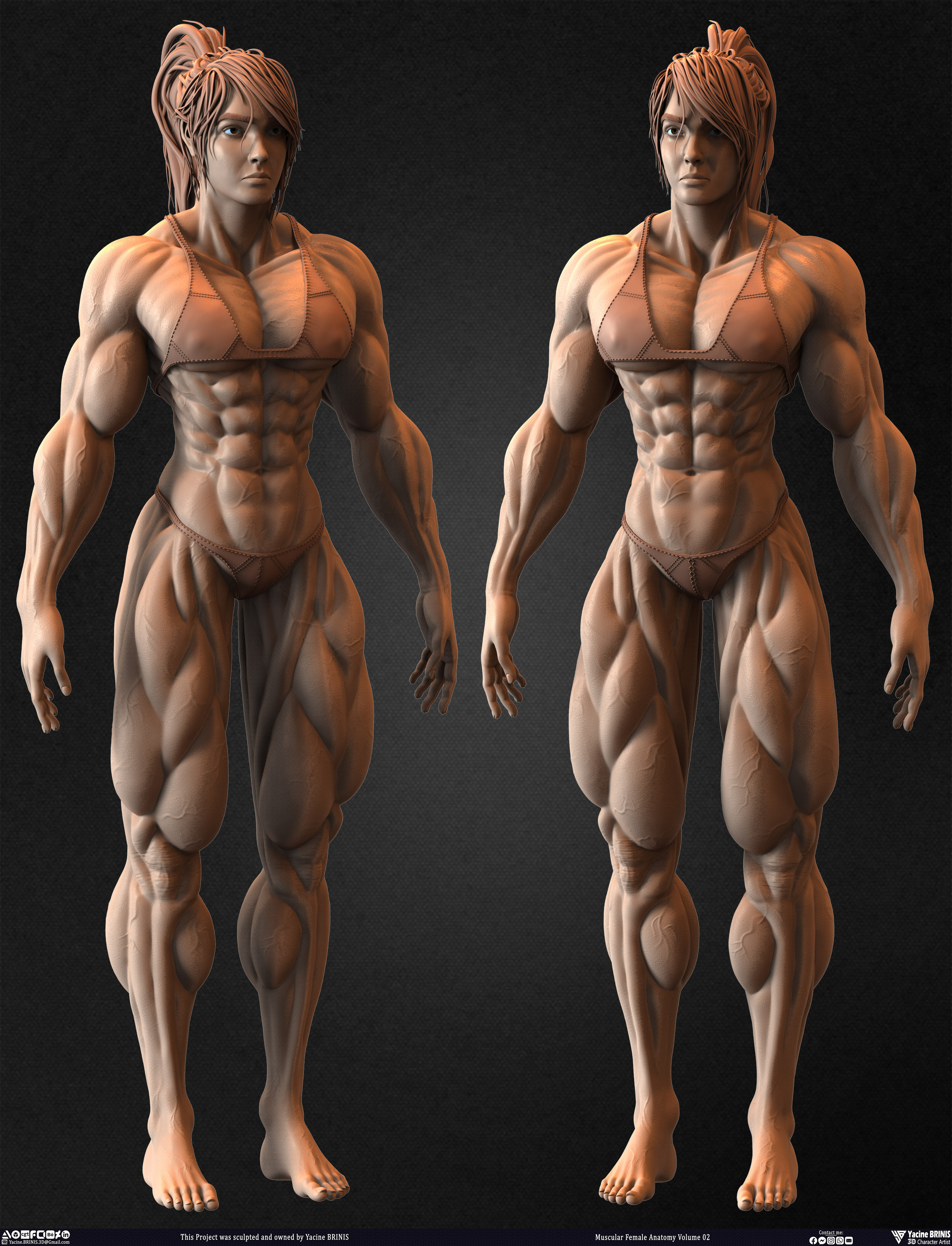 Muscular Female anatomy Volume 02 sculpted by Yacine BRINIS 008