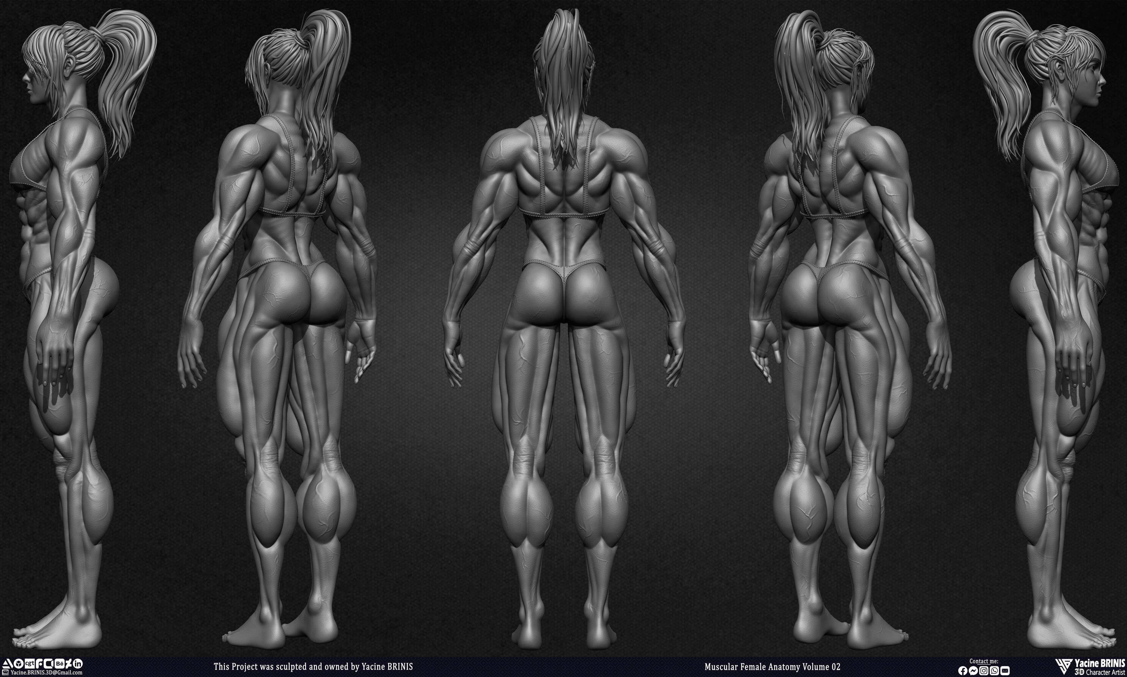 Muscular Female anatomy Volume 02 sculpted by Yacine BRINIS 013