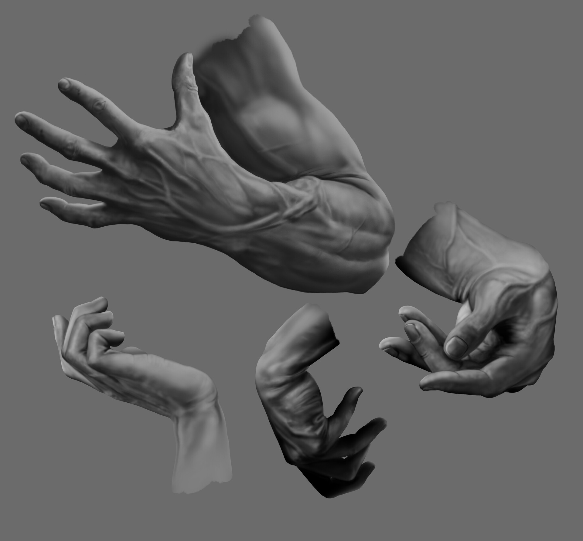 ArtStation - Штудии рук (Studium hand)