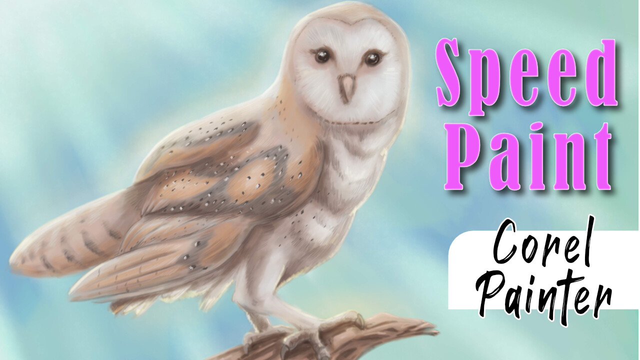 Barn owl digital painting done in Corel Painter, speed paint video on YouTube.