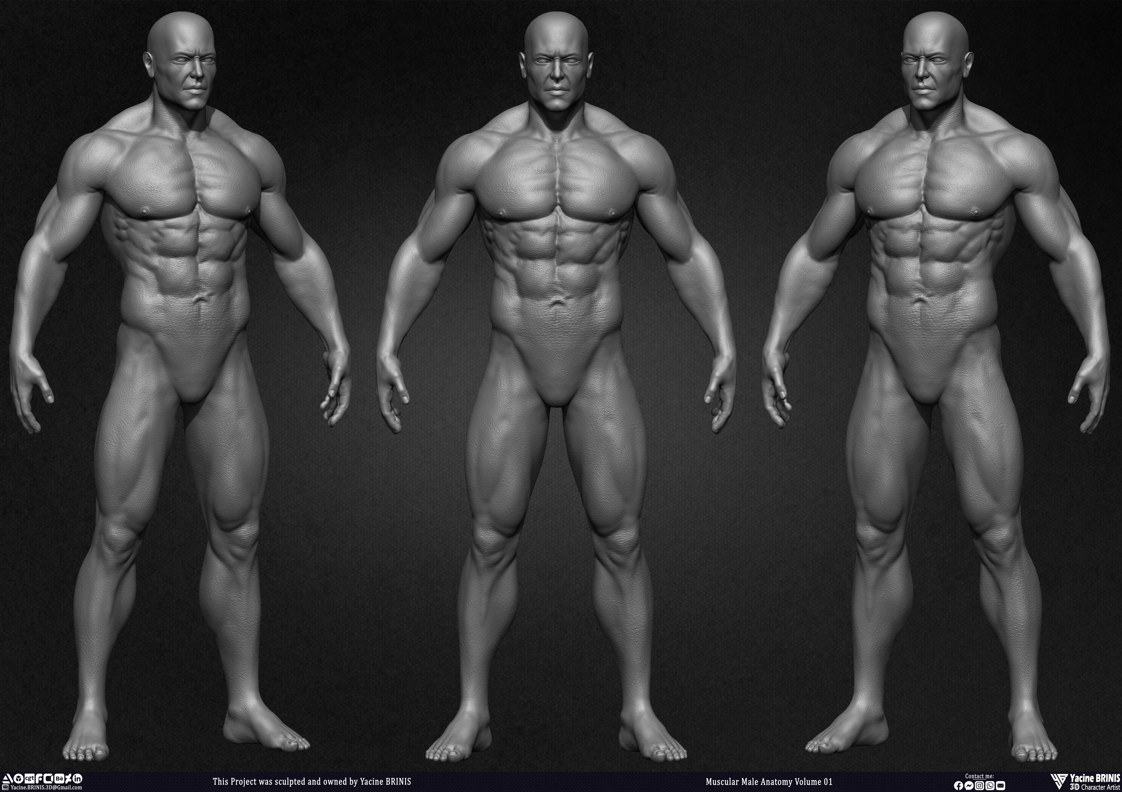 Muscular Male Anatomy 3D Character sculpted by Yacine BRINIS 002
