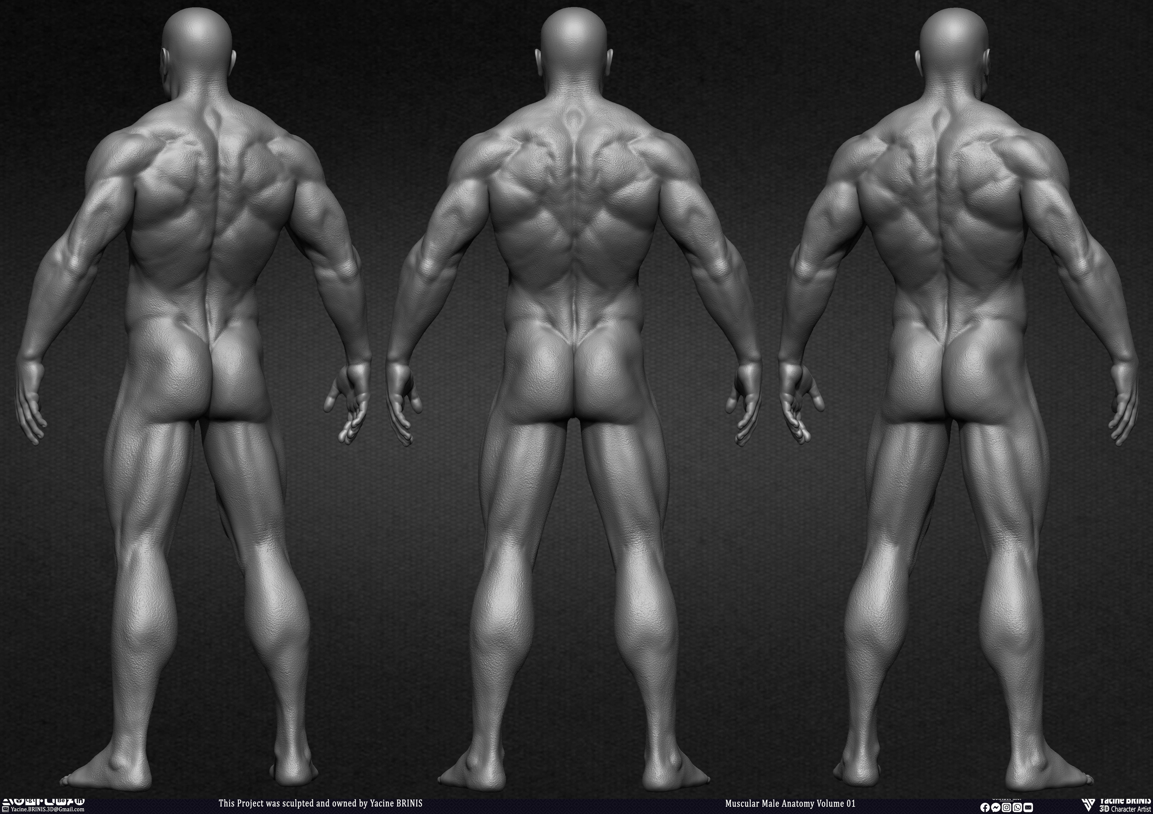 Muscular Male Anatomy 3D Character sculpted by Yacine BRINIS 003