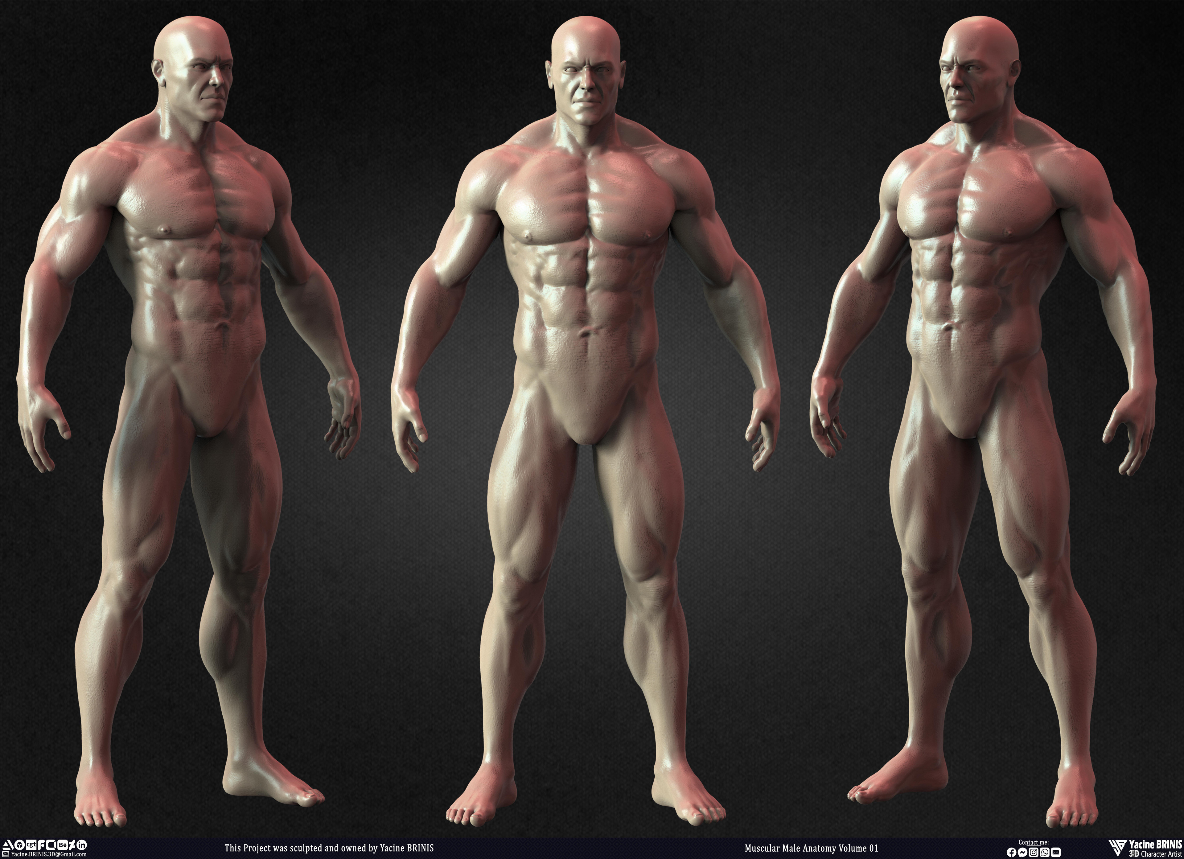 Muscular Male Anatomy 3D Character sculpted by Yacine BRINIS 004