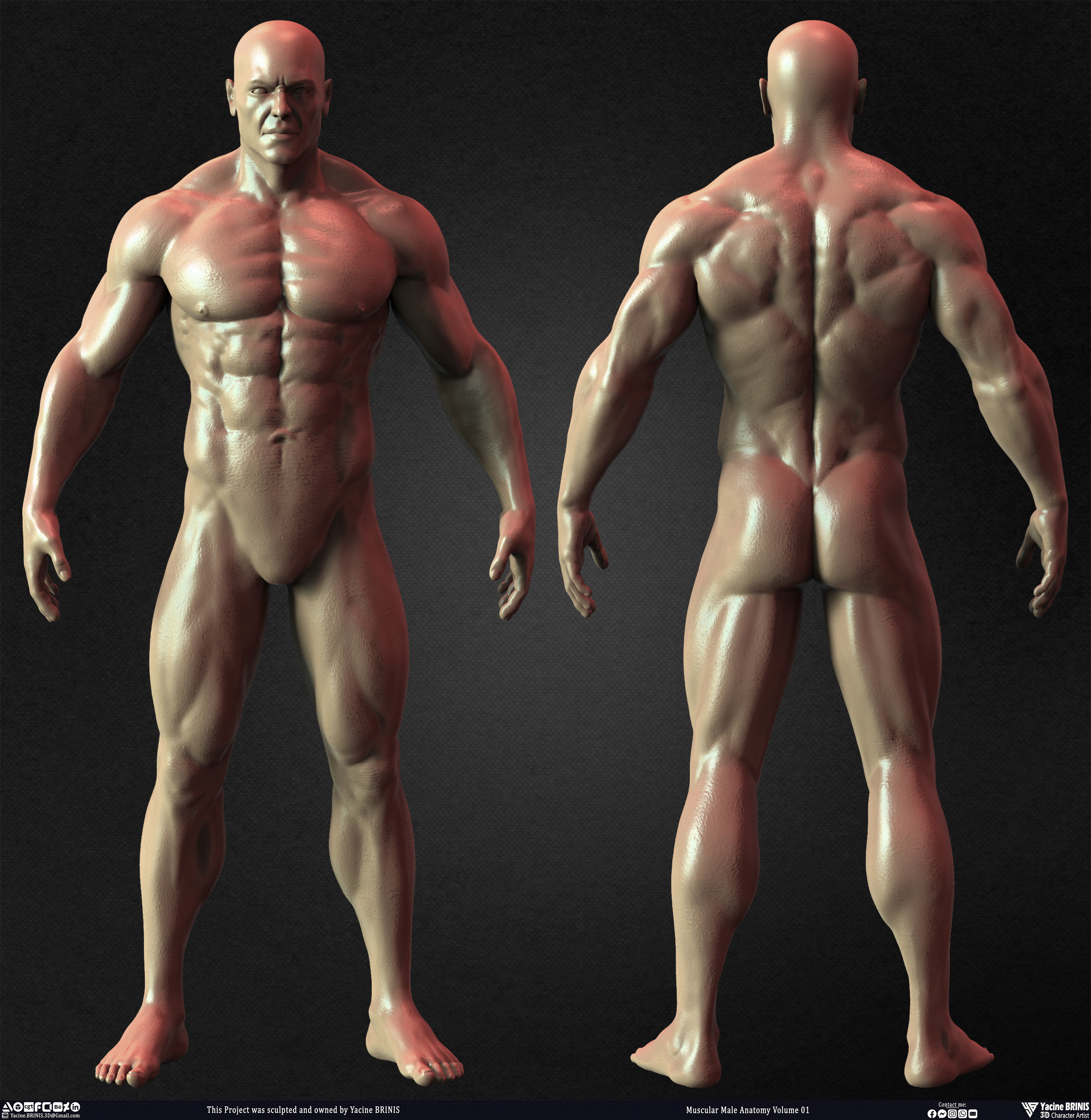 Muscular Male Anatomy 3D Character sculpted by Yacine BRINIS 005
