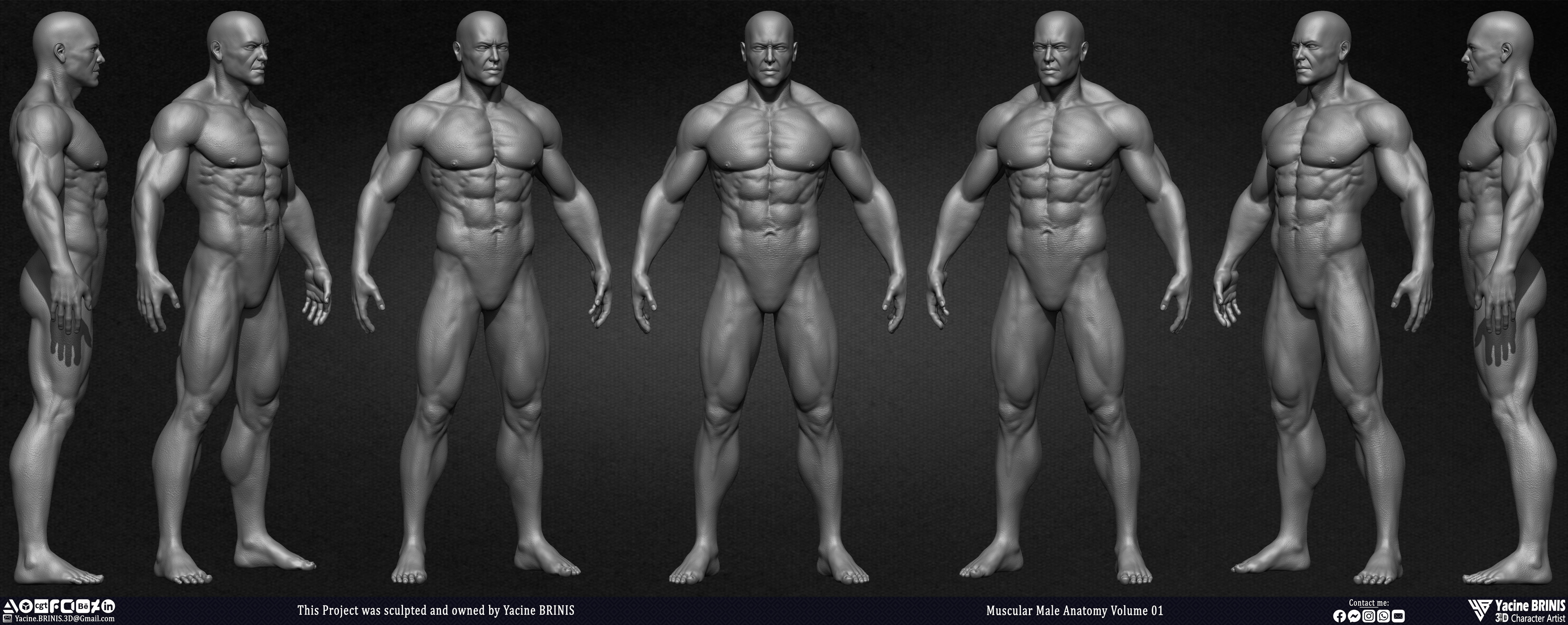 Muscular Male Anatomy 3D Character sculpted by Yacine BRINIS 007