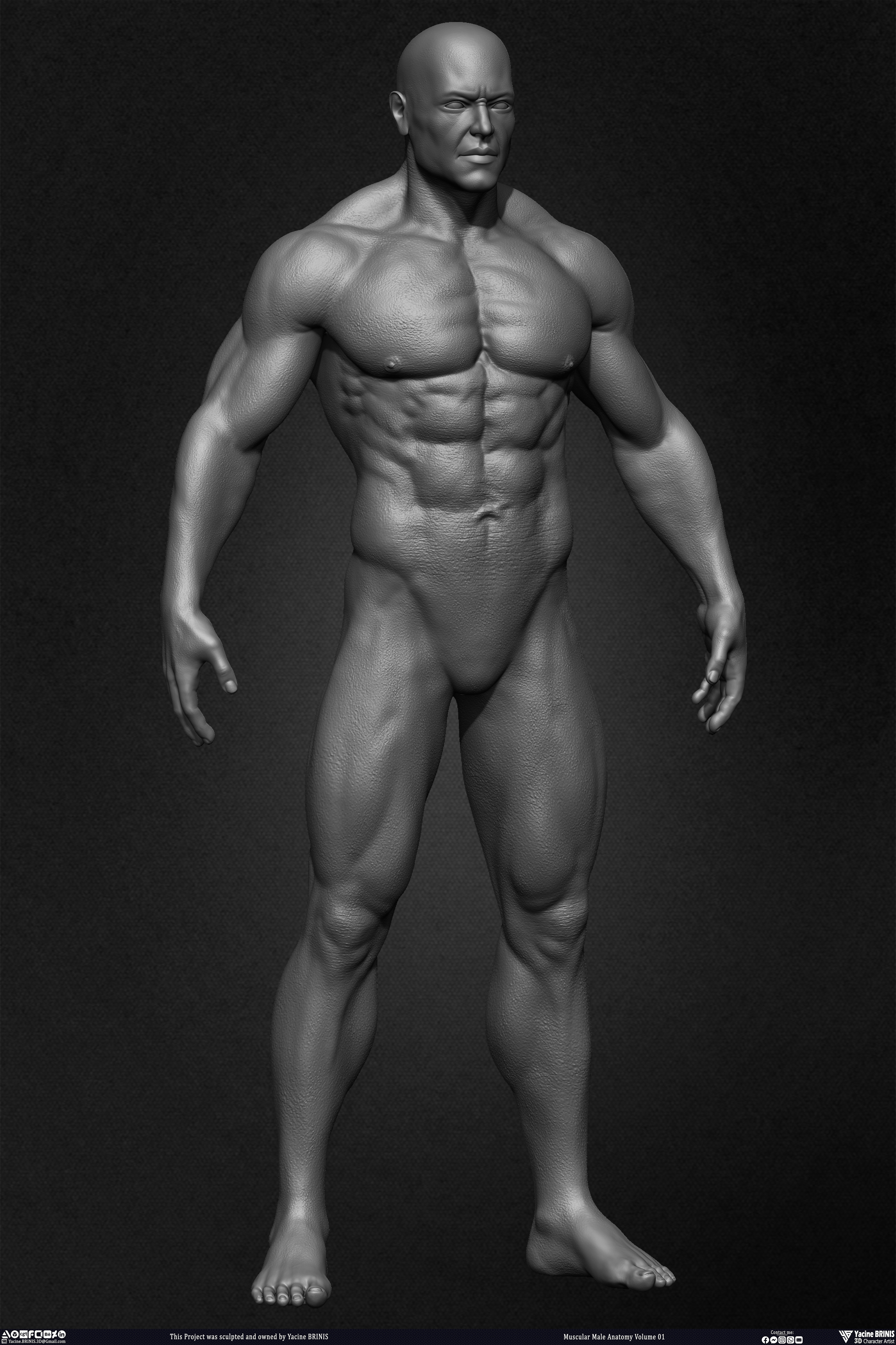 Muscular Male Anatomy 3D Character sculpted by Yacine BRINIS 013